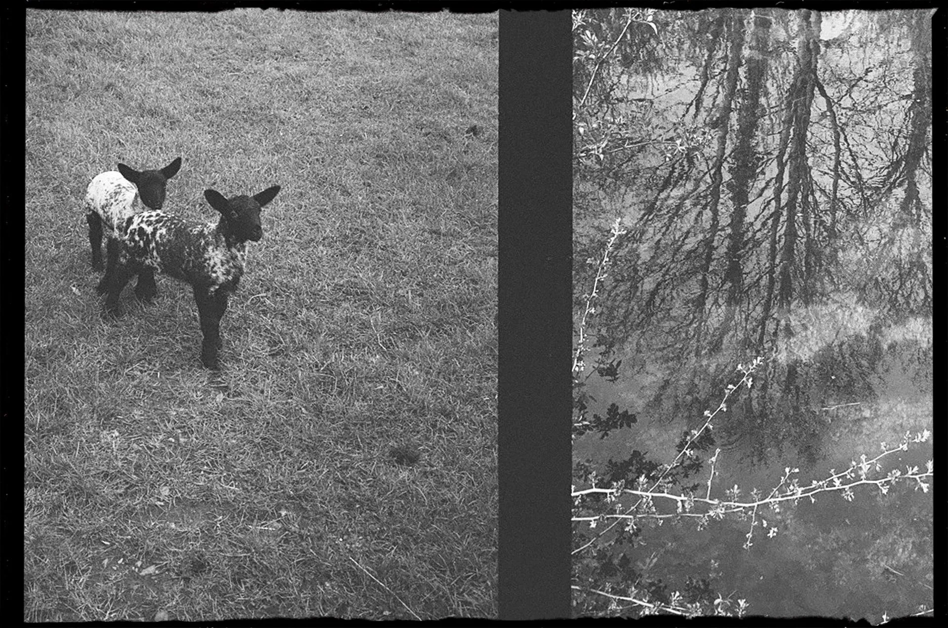CCEFB53E-0729-47E8-996E-586E40F78A05.jpeg