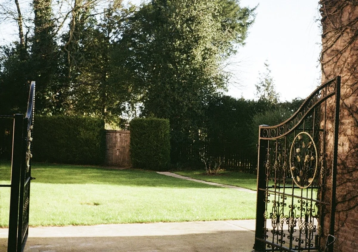 View of a backyard with a green lawn, shrubs, and trees, with an open wrought iron gate in the foreground on the right, and a brick wall on the right side. The scene is illuminated by sunlight.