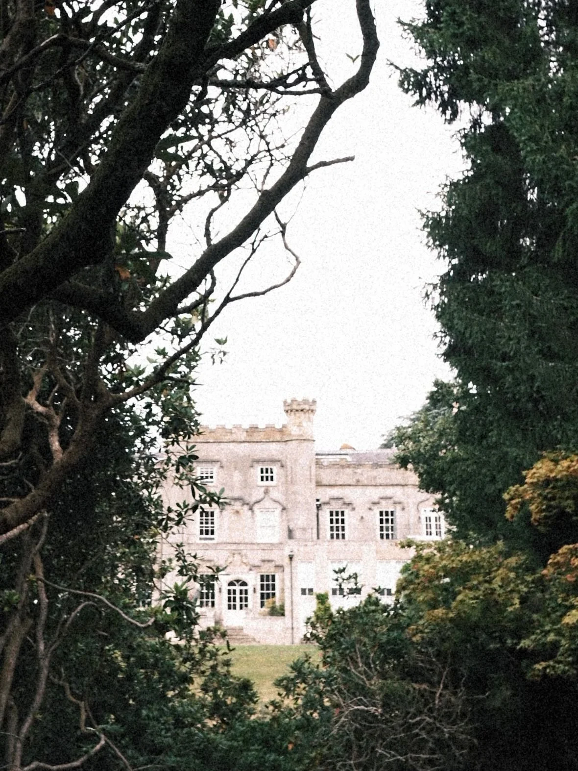 A castle partially visible through dense trees and bushes in a garden.