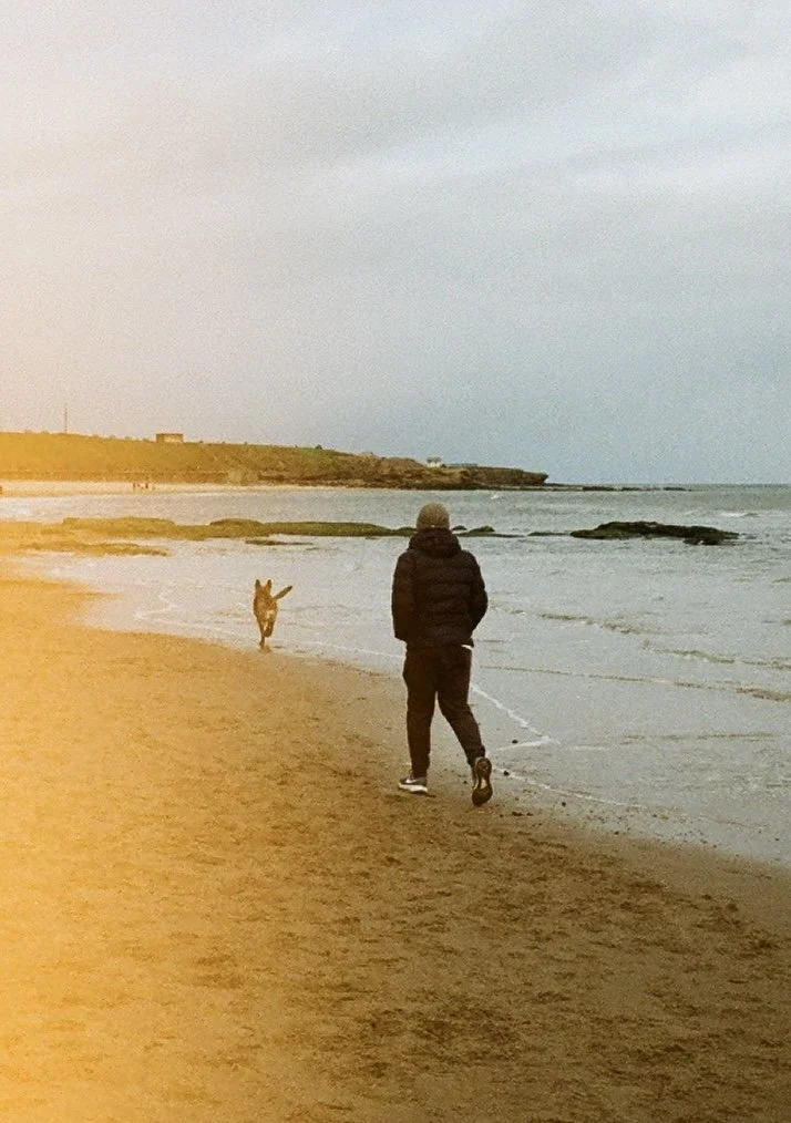 Person in a black jacket and gray hoodie walking along the beach with a dog approaching from a distance, overlooking the ocean, with rocky shoreline and a distant cliff in the background.