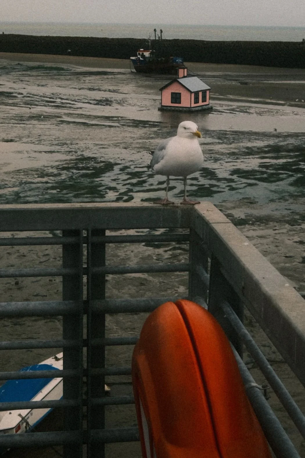 Seagull standing on a metal railing overlooking a beach, with a pink house on stilts, a boat, and the ocean in the background.