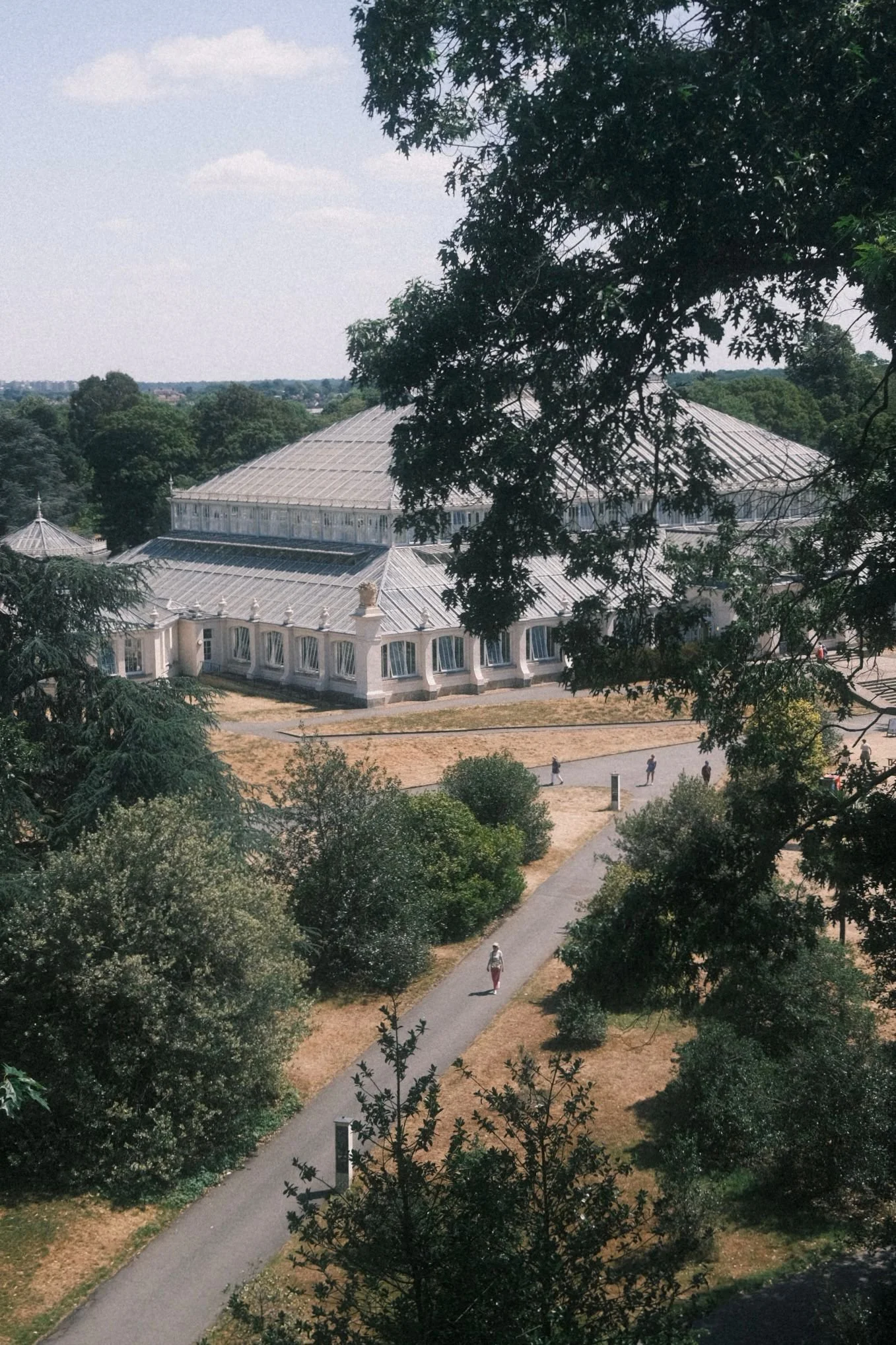 A large glass and white building with a metal roof, surrounded by trees, with a paved walkway and people walking nearby.