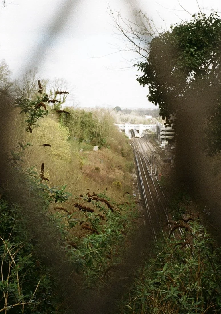 View of railway tracks extending into the distance next to a hillside covered with trees and bushes, with some buildings and structures in the background under an overcast sky.