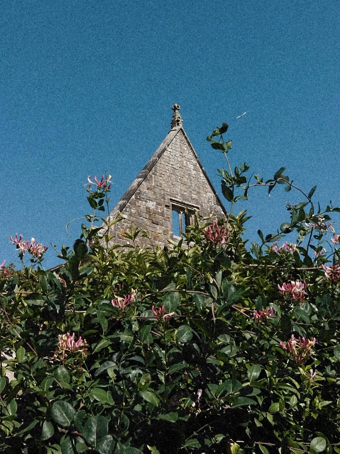 A stone building with a steep roof and a window, partially obscured by leafy bushes with pink flowers, against a clear blue sky.
