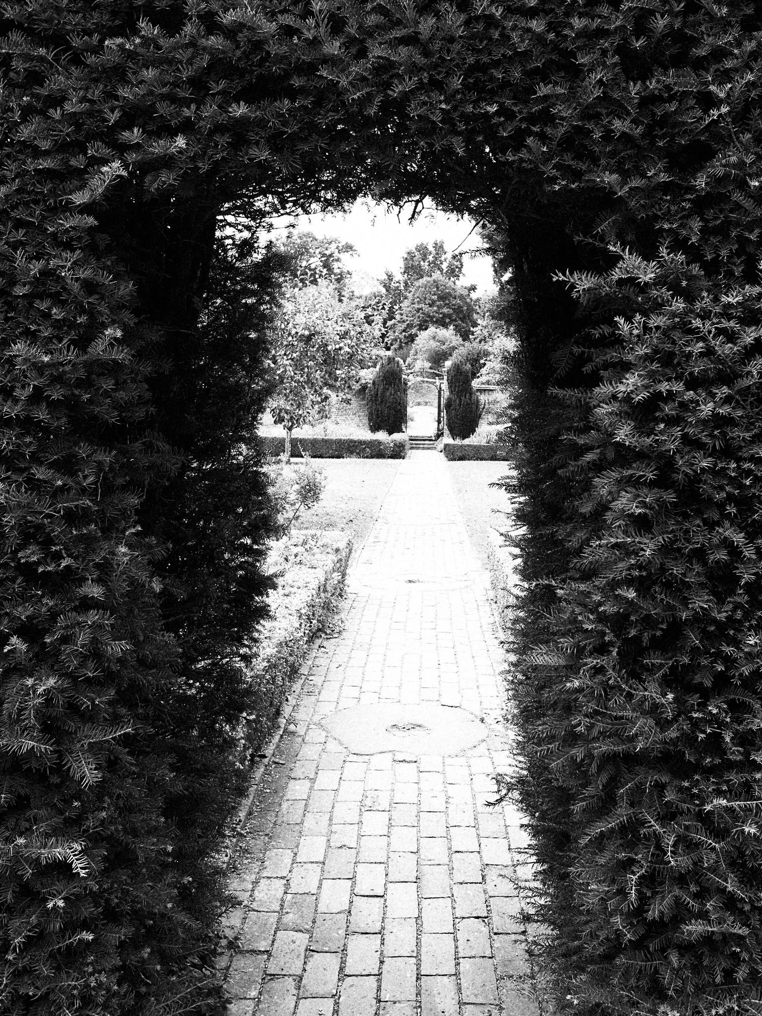 Black and white photo of a garden pathway viewed through a hedge archway, with trees and shrubs in the background.