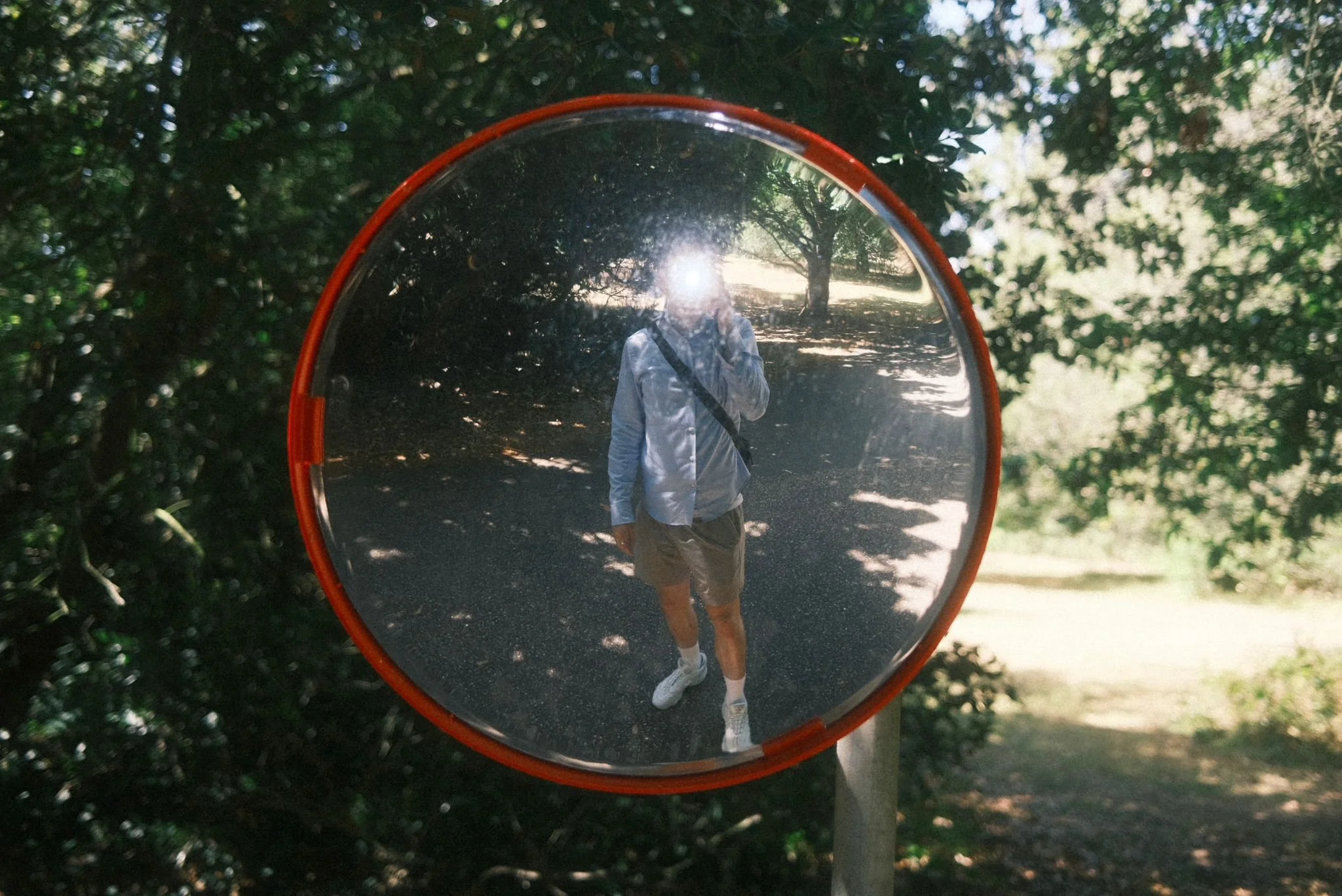 A person taking a selfie in a round mirror outdoors, reflecting trees and sunlight, with the person's face obscured by the flash.