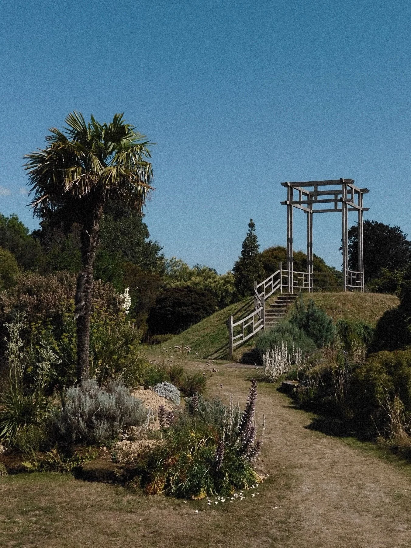 A landscaped garden with a dirt path leading to a wooden structure on a grassy hill, surrounded by various plants and trees, including a large palm tree, under a clear blue sky.