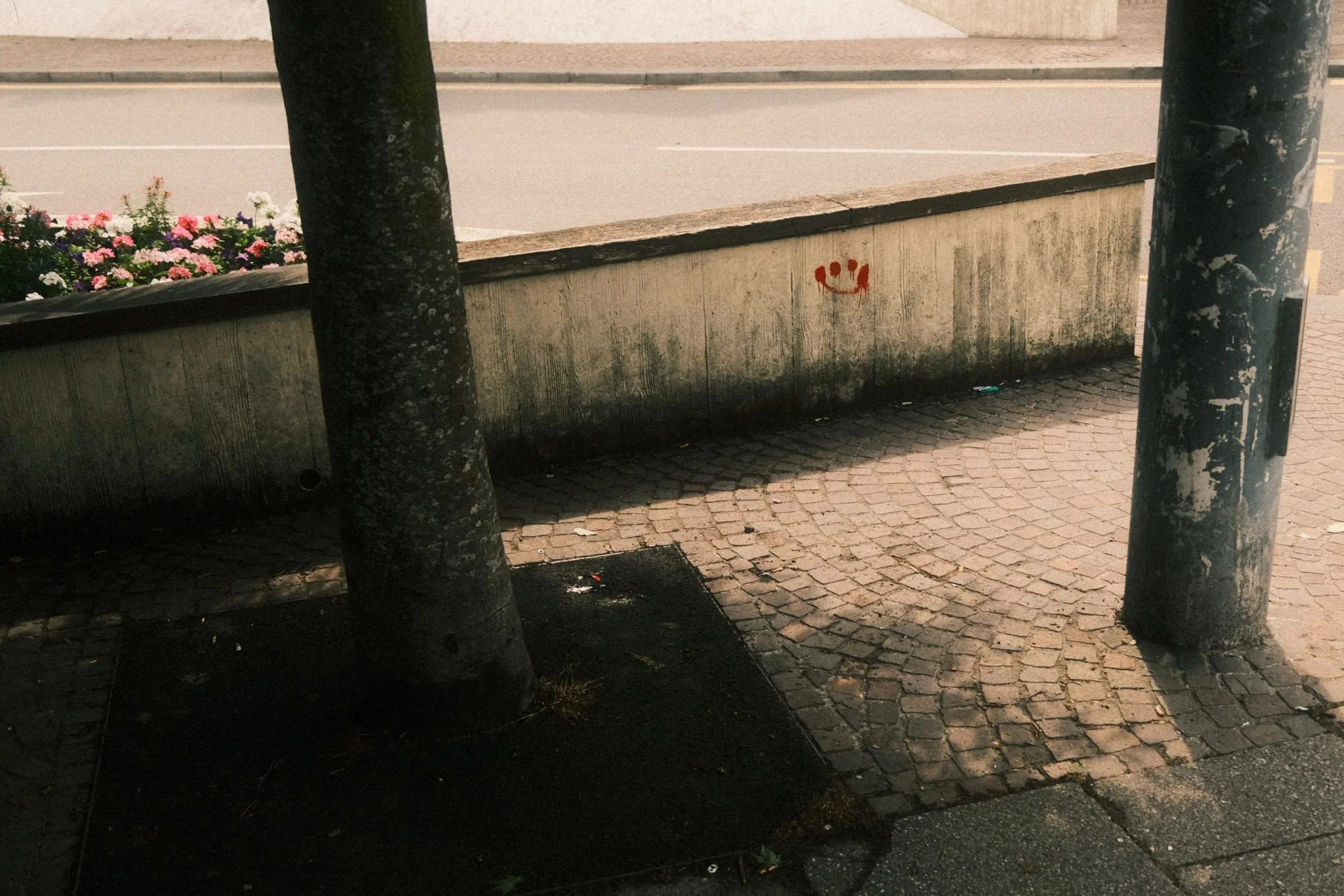 A sidewalk with two trees, a flower bed, a concrete barrier with graffiti that looks like a smiley face, and street in the background.