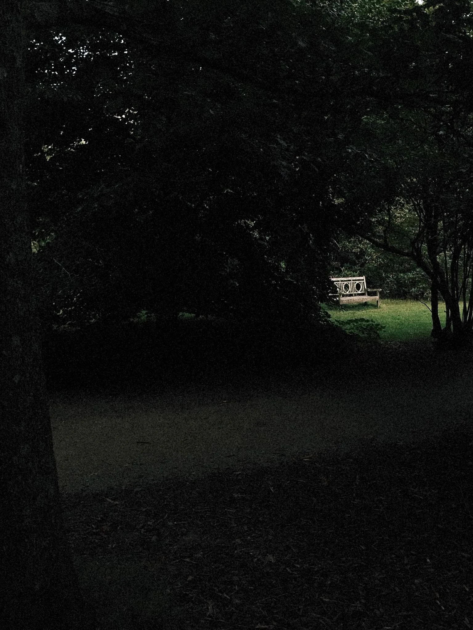 A park with a dark foreground and a lit bench in the background, surrounded by trees and greenery.