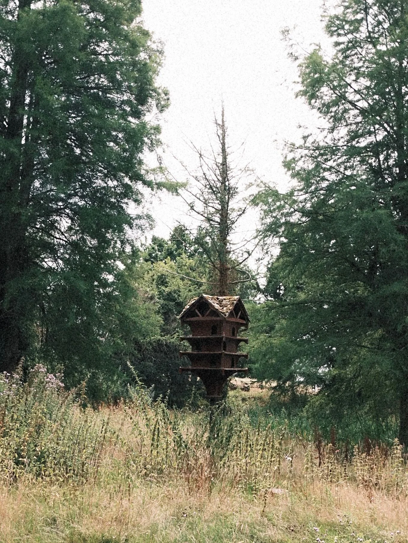 Wooden birdhouse on stilts in a grassy, wooded area with trees and shrubs.