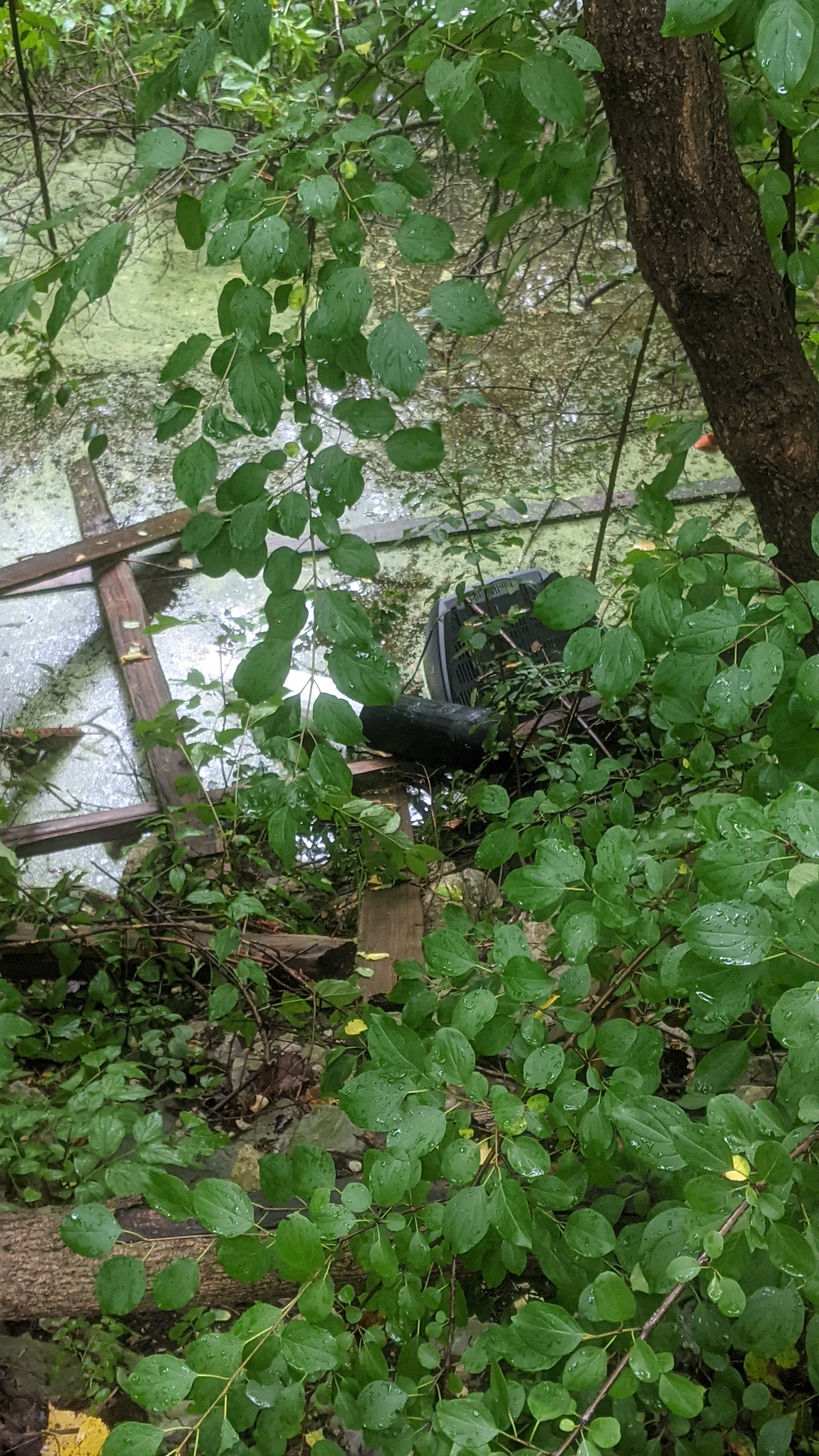 Your input shouldn't end up like garbage in a swamp.