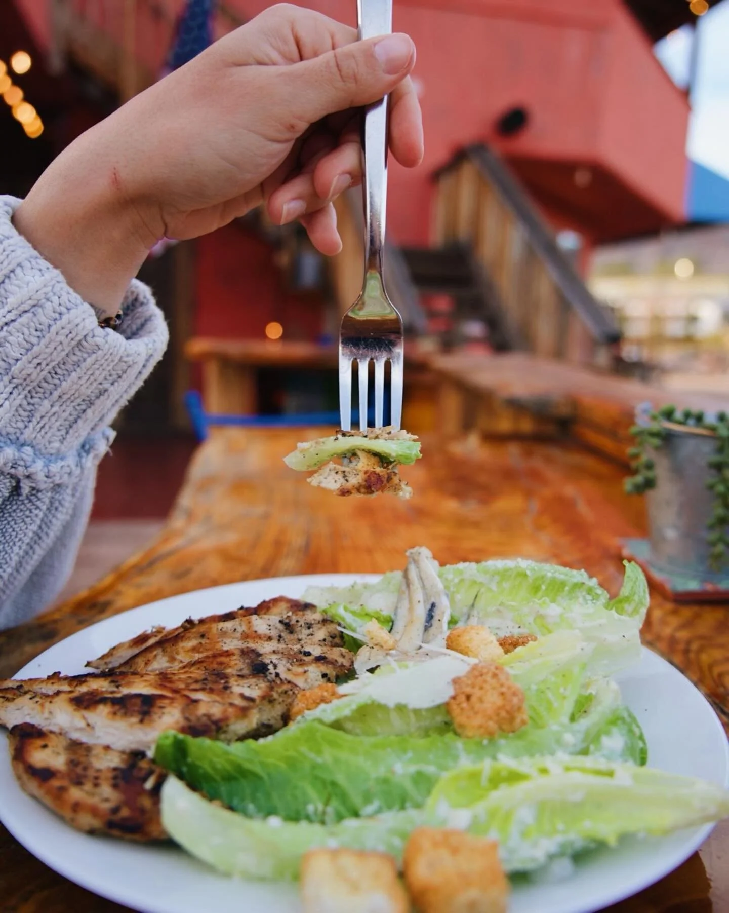 After a day in the desert, nothing hits quite like a crisp caesar salad. 

Fresh romaine, grilled chicken, garlic croutons, aged parmesan, and topped with delicate white anchovies along with our house-made caesar dressing prepared fresh every day. 

