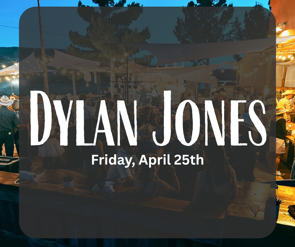 Dylan Jones Band
