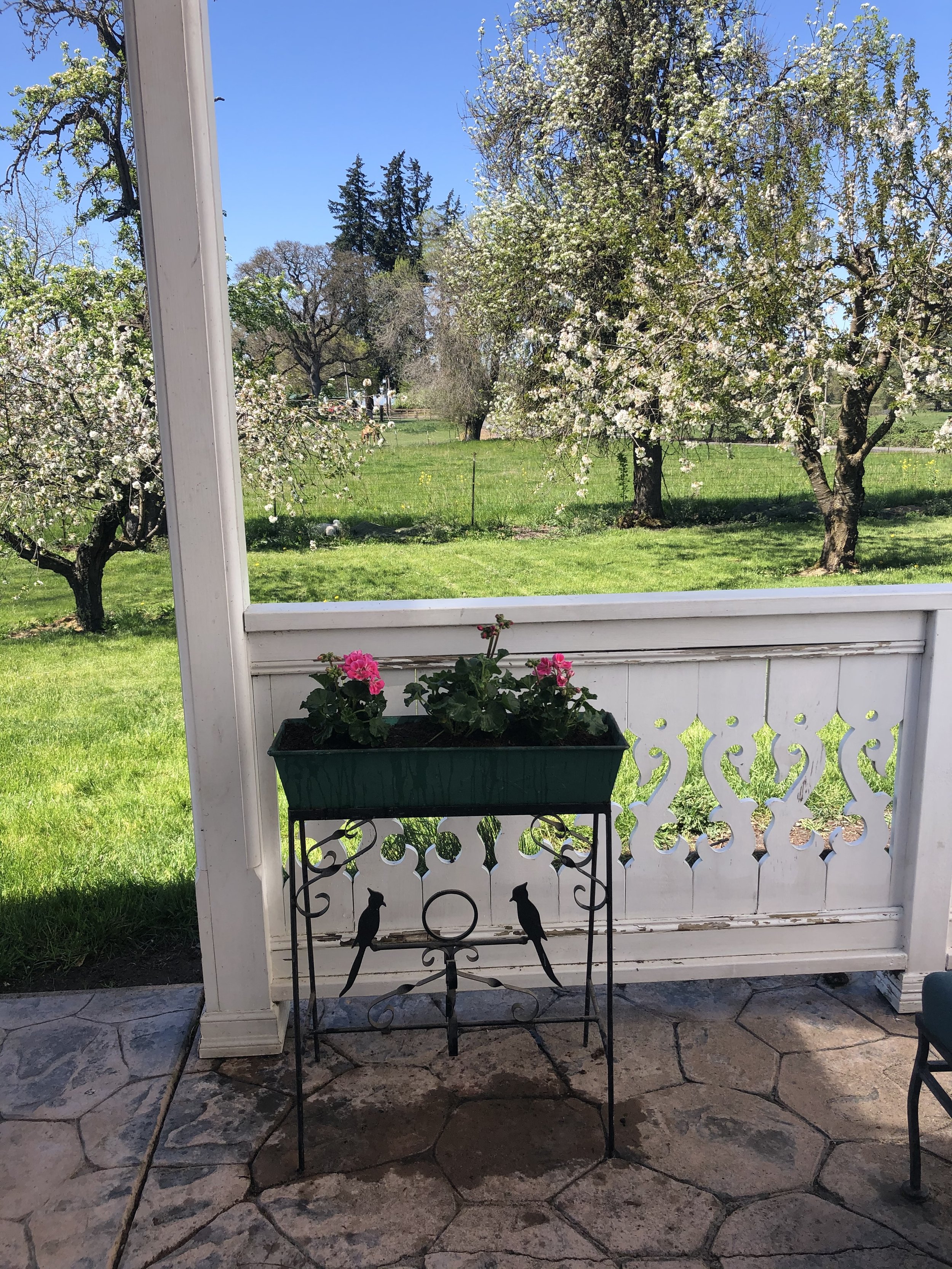 A small potted plant with pink flowers on a decorative black metal stand on a porch with stone flooring, overlooking a grassy yard with trees and a clear blue sky.