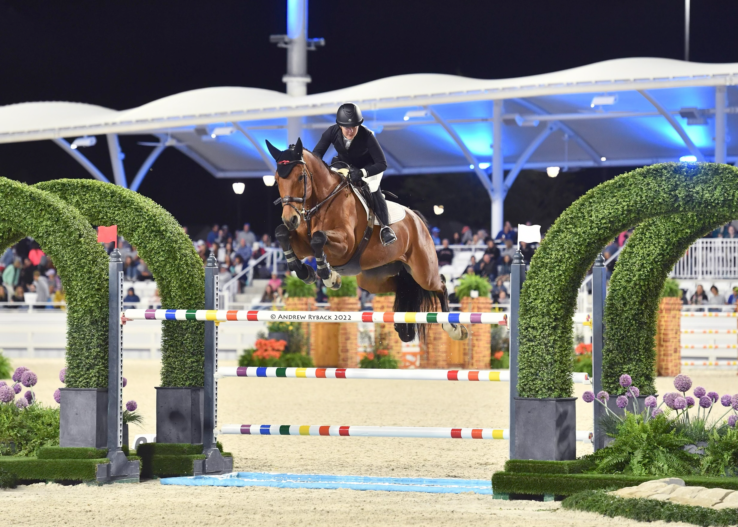 A rider dressed in black and white with a helmet, jumping a brown horse over a colorful obstacle in a nighttime equestrian competition. The jump is decorated with greenery and flowers, with an audience watching in the background under a large, illuminated roof.
