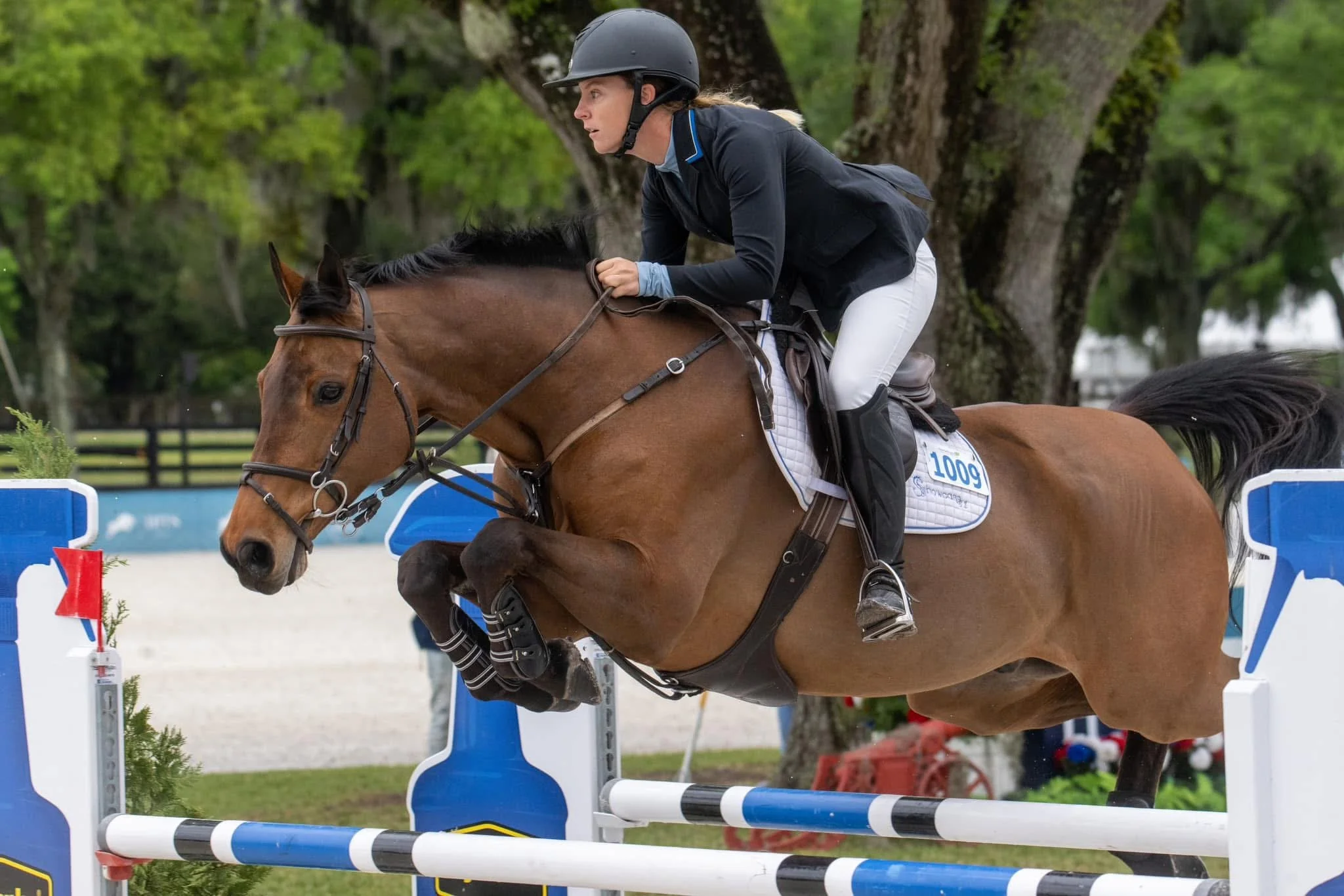 Bryn Sadler riding Cinven CR in the Grand Prix at HITS Ocala, Florida
