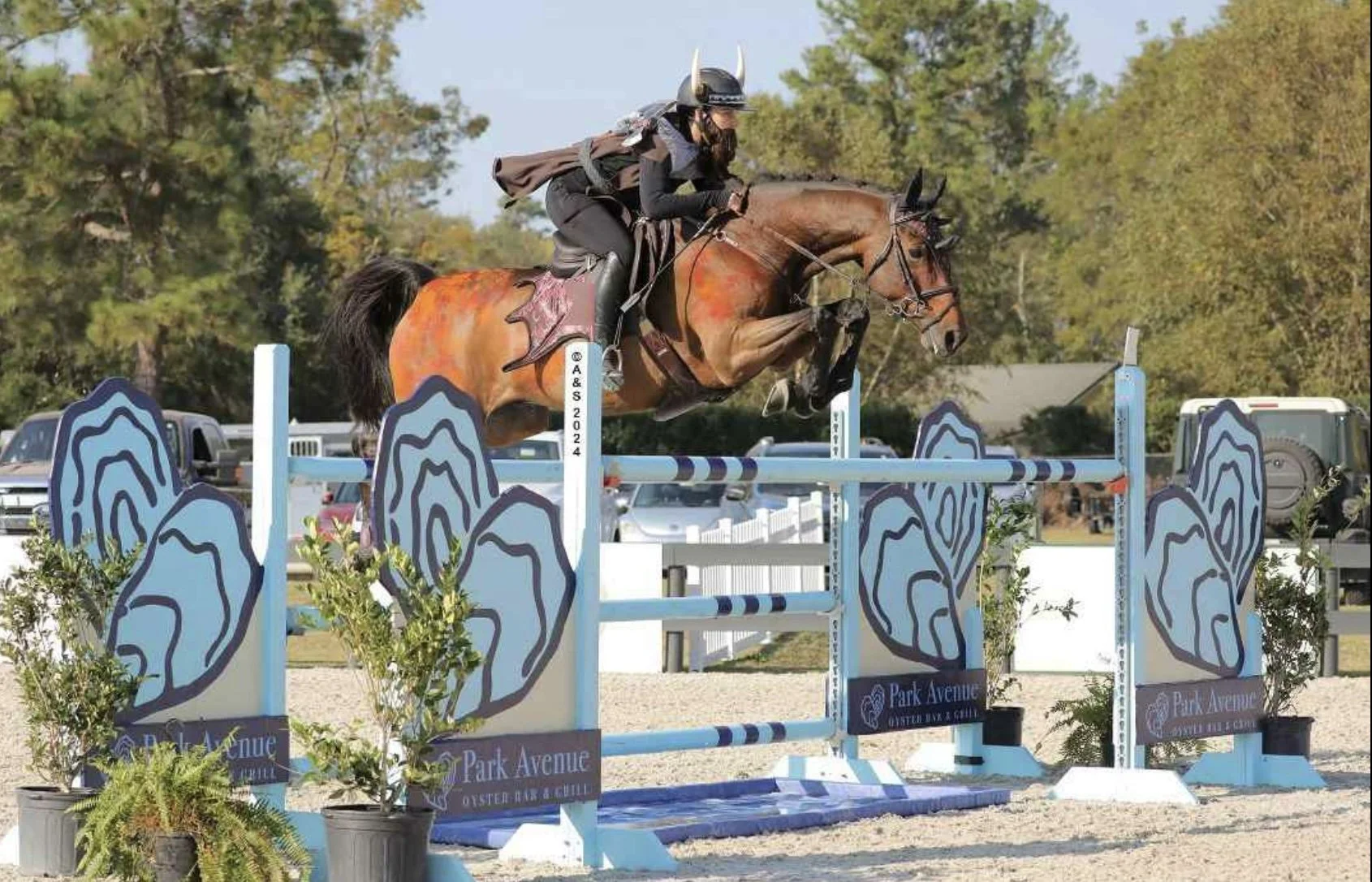 Cinven CR (Cilantro) jumping with a costumed rider. A&S 2024 photo credit retained in the image.
