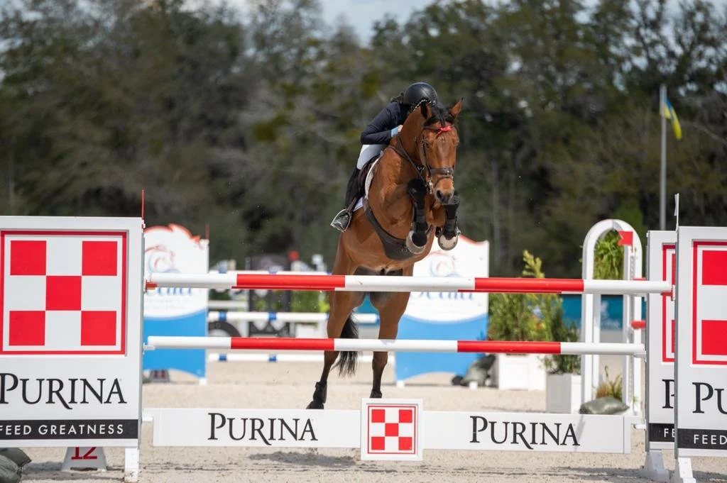 Bryn Sadler riding Catch the Dollar in the FEI 3 Grand Prix at WEC Ocala, Florida