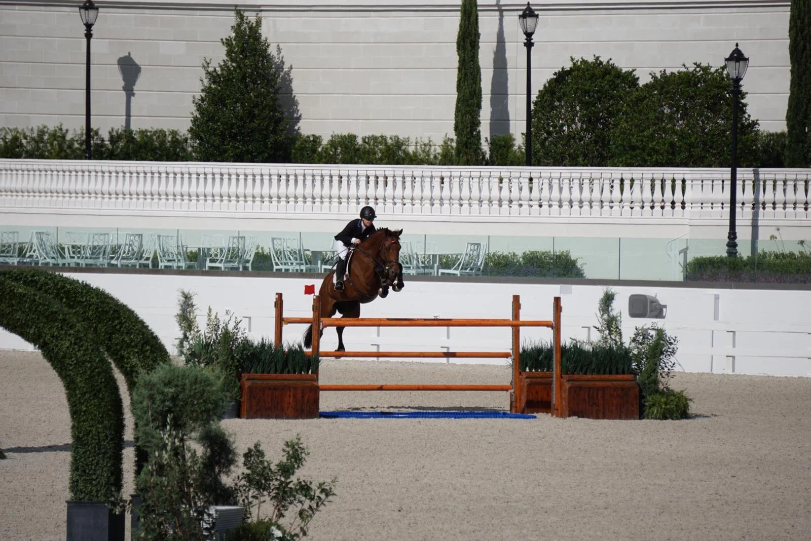 Bryn Sadler riding Catch the Dollar in the Saturday Night Grand Prix at WEC Ocala, Florida