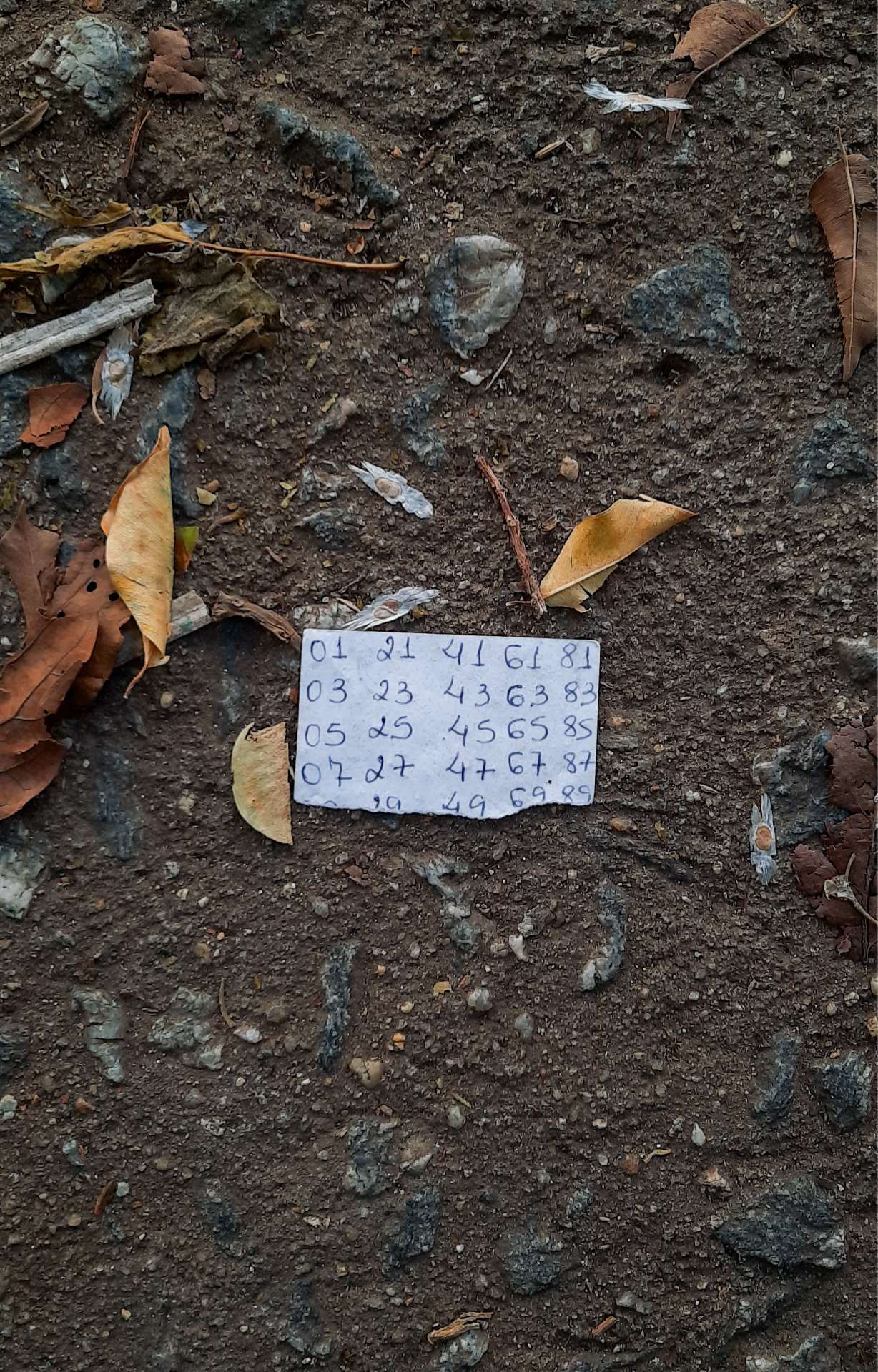 Ativo 218.png