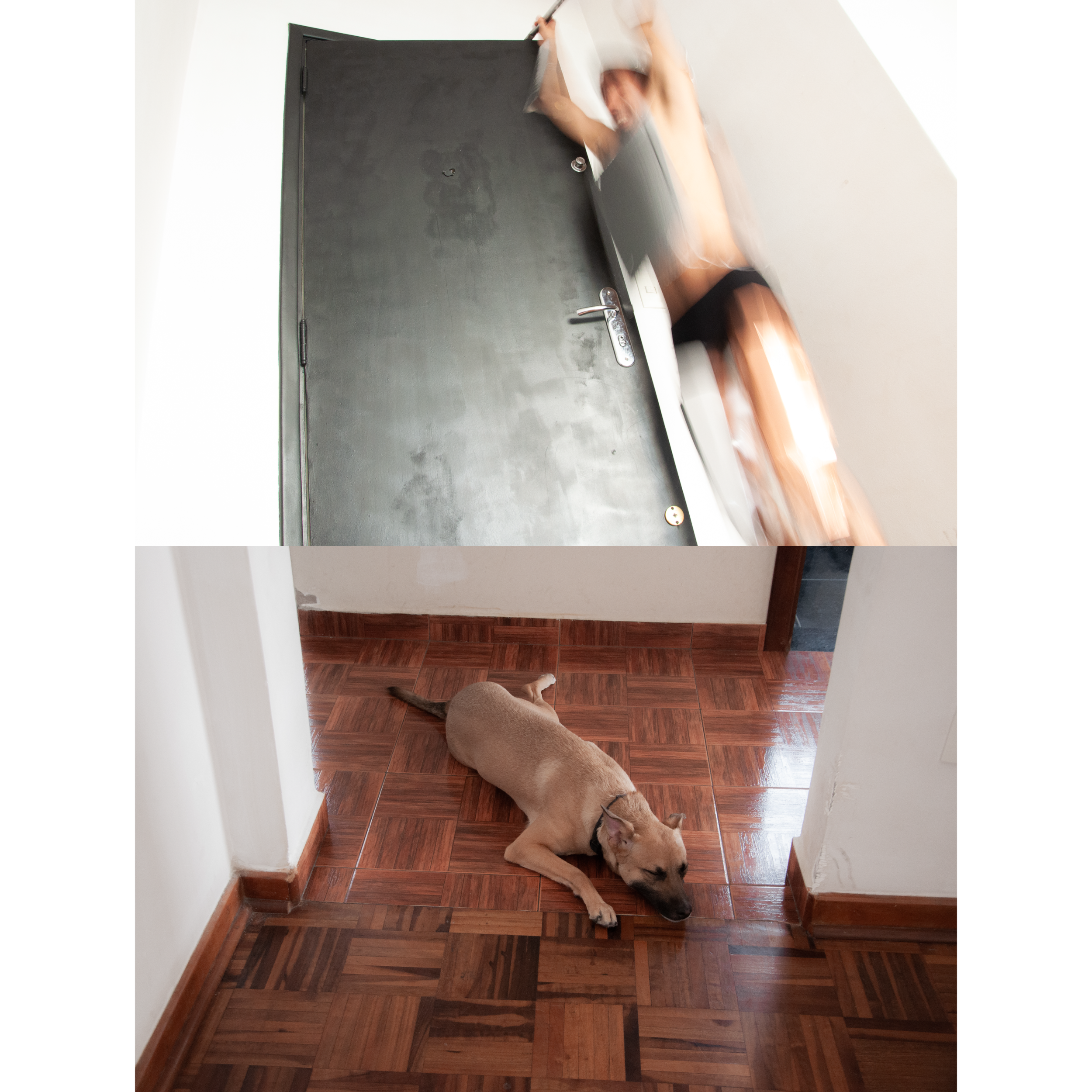 bPrancheta 7 cópia 7@2x.png