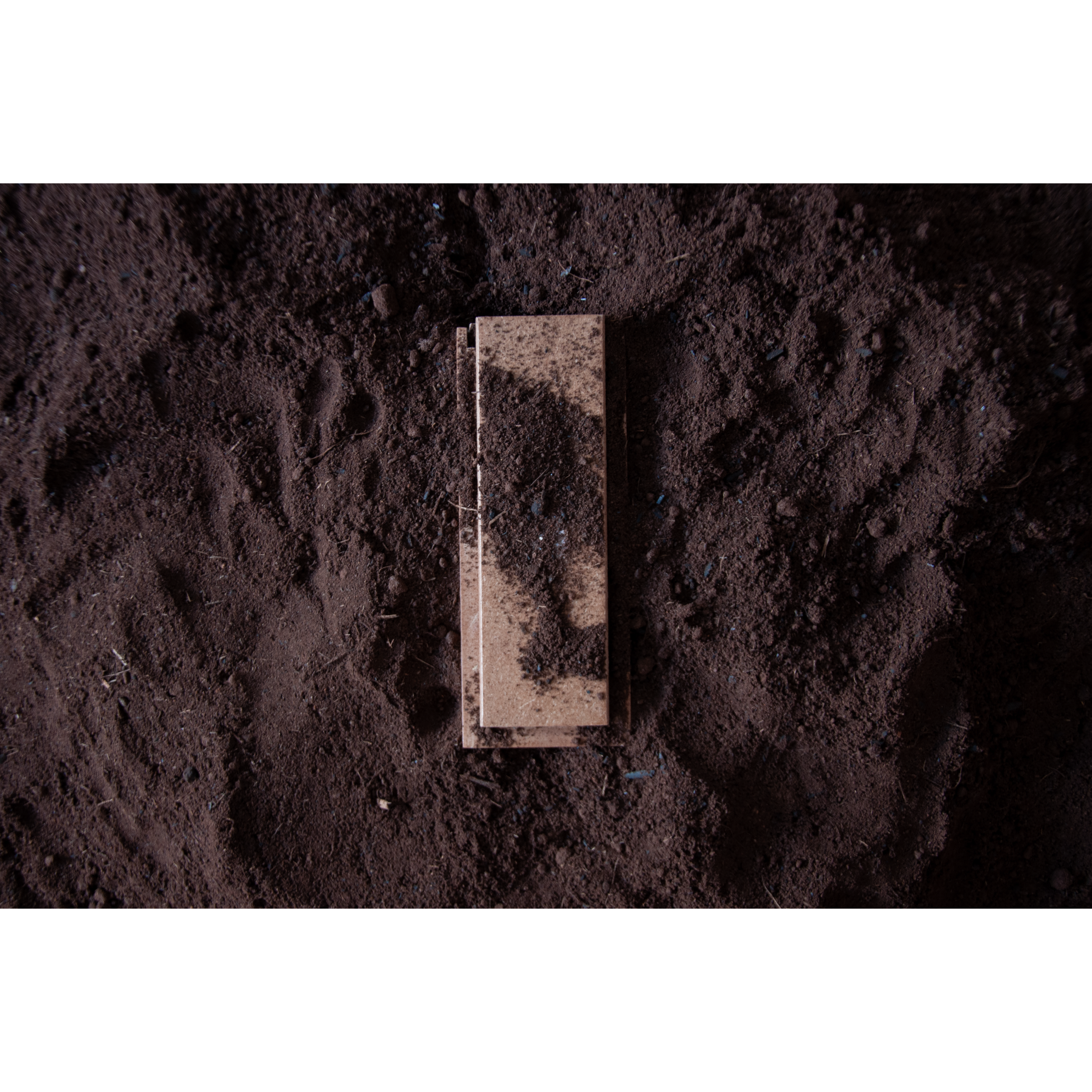 bPrancheta 7 cópia 4@2x.png