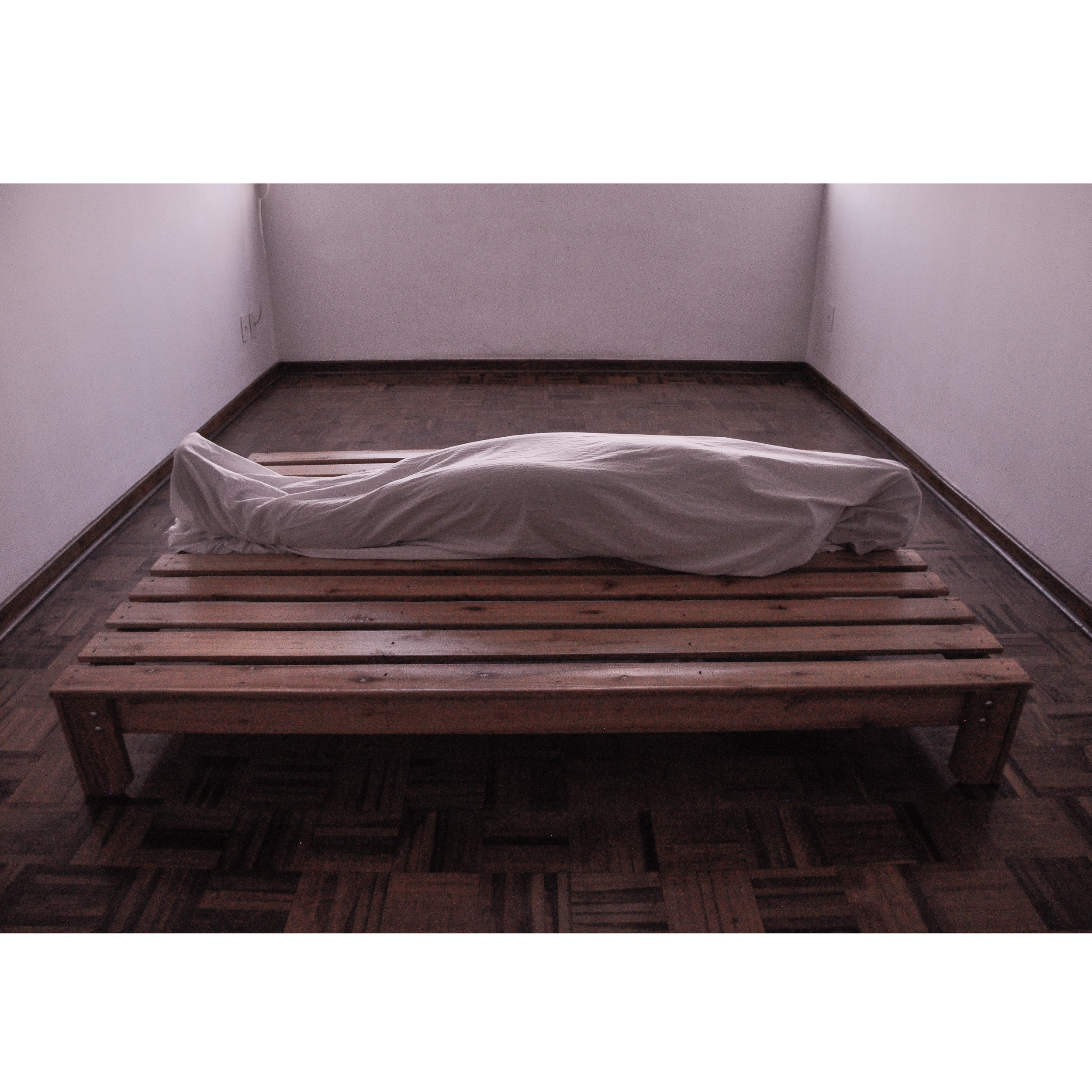 despertencerArtboard 1 copy 301b.png