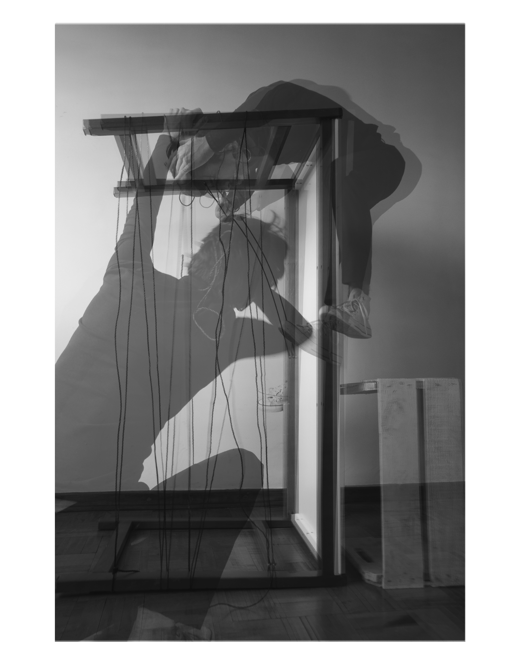 despertencerArtboard 1 copy 371c.png