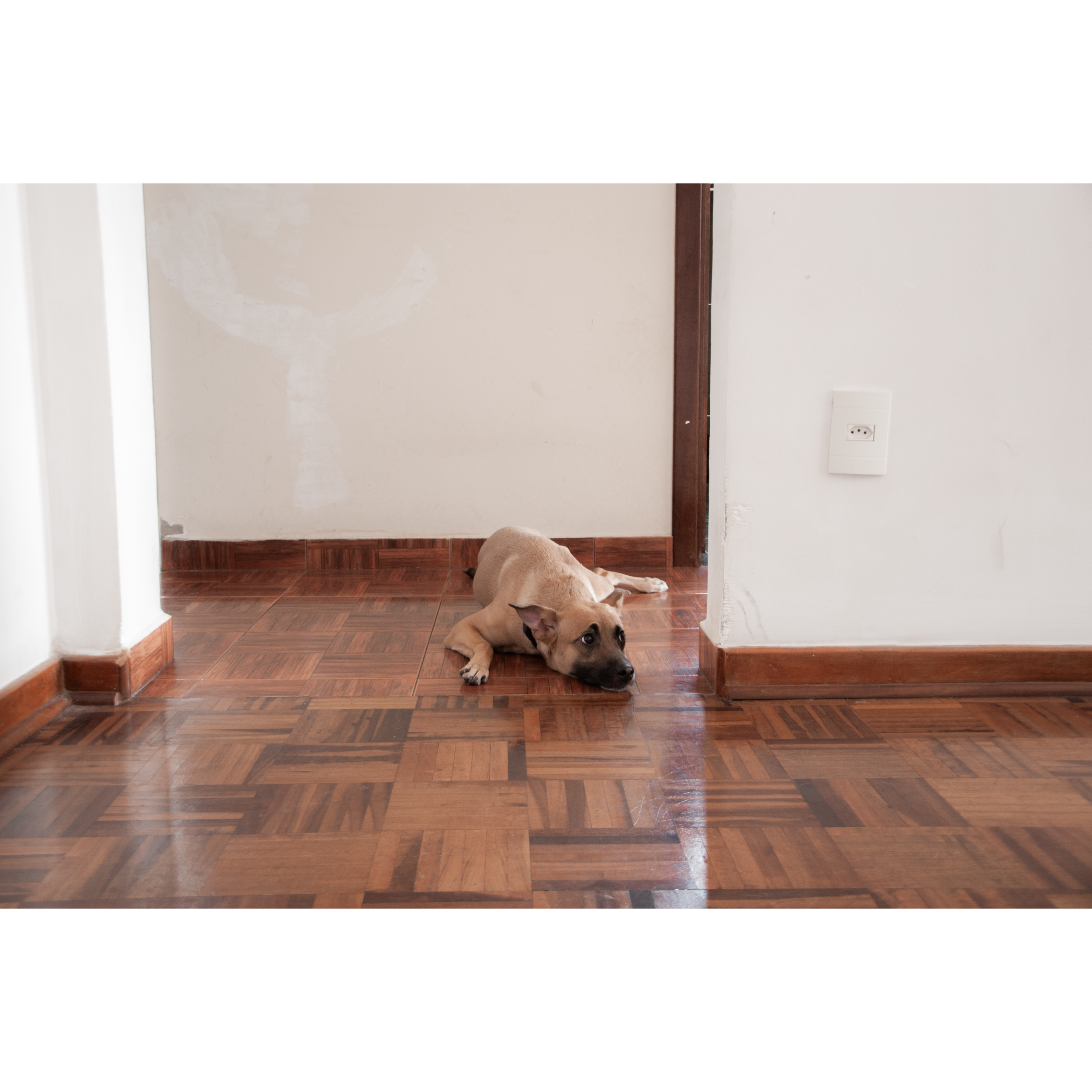 bPrancheta 7 cópia 3@2x.png