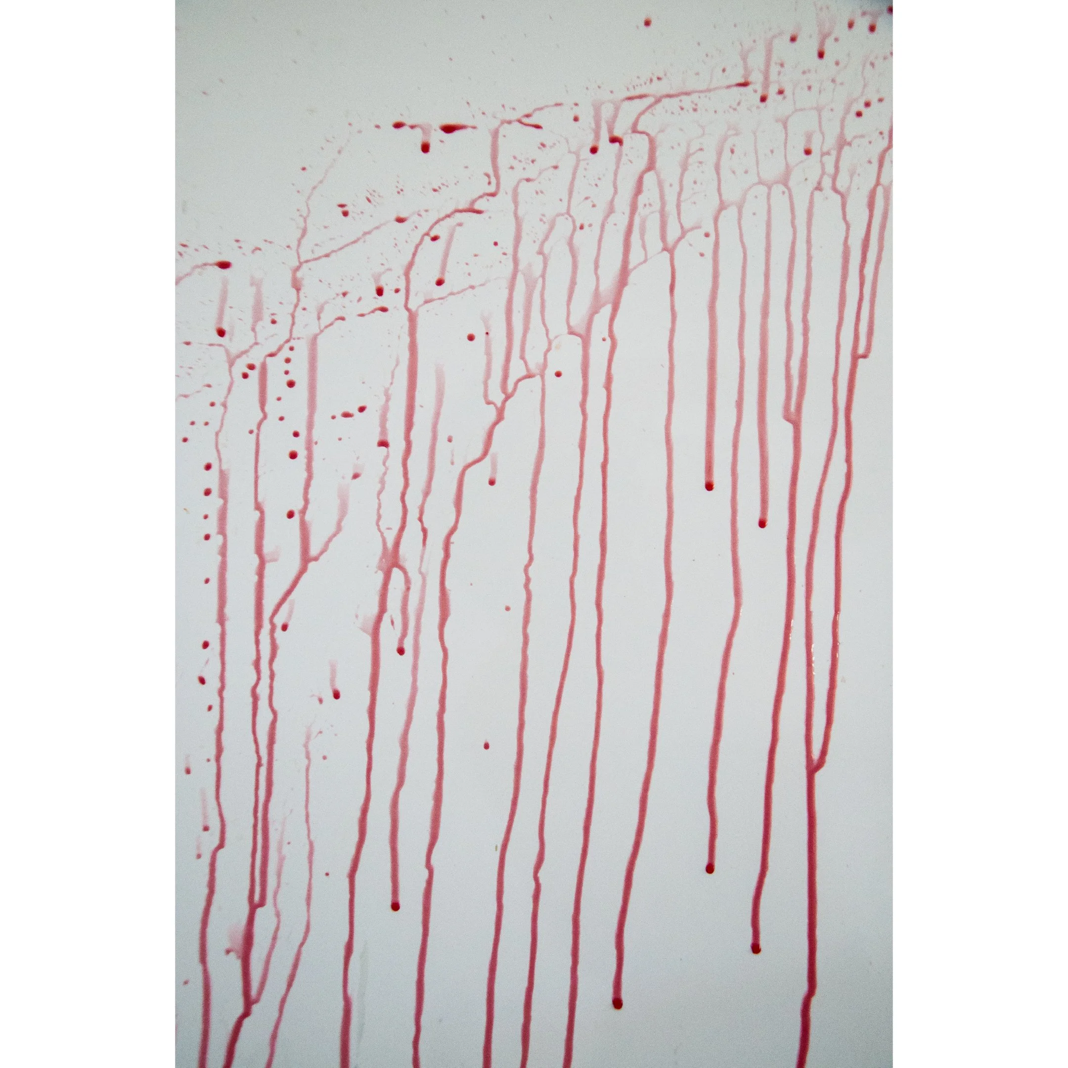 Prancheta 1 cópia 3@2x.jpg