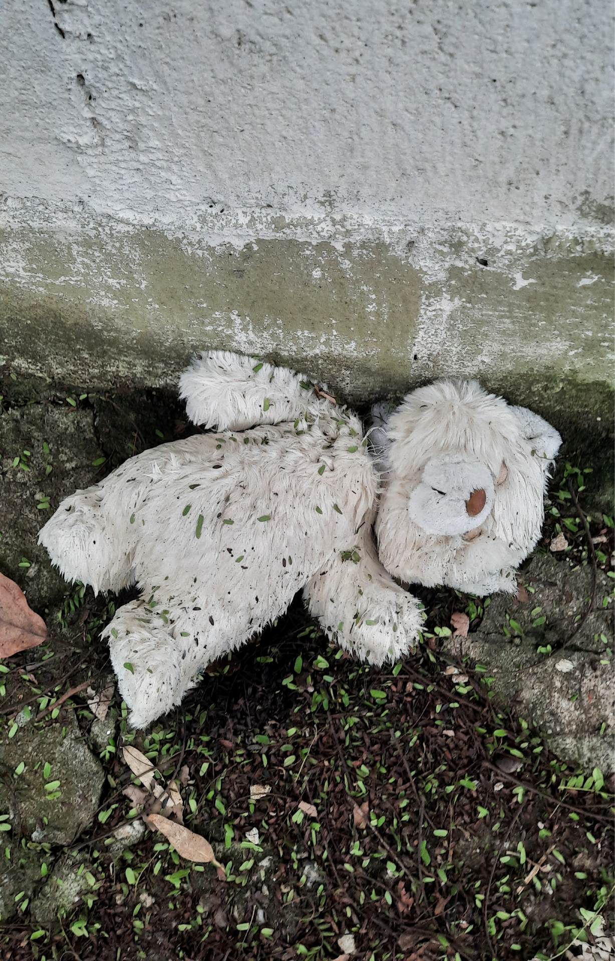 Abandonário (2020-26)