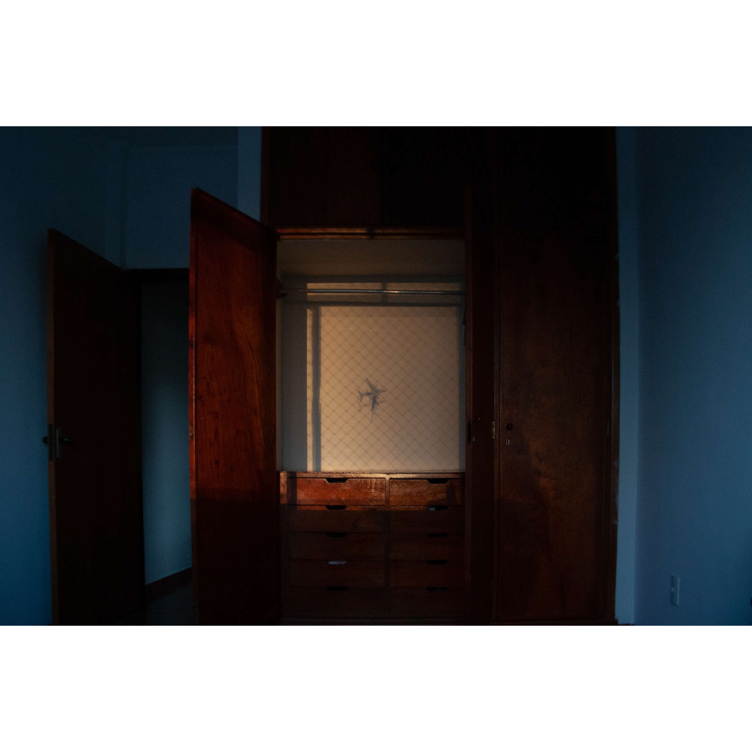 bPrancheta 7 cópia 6@2x.png