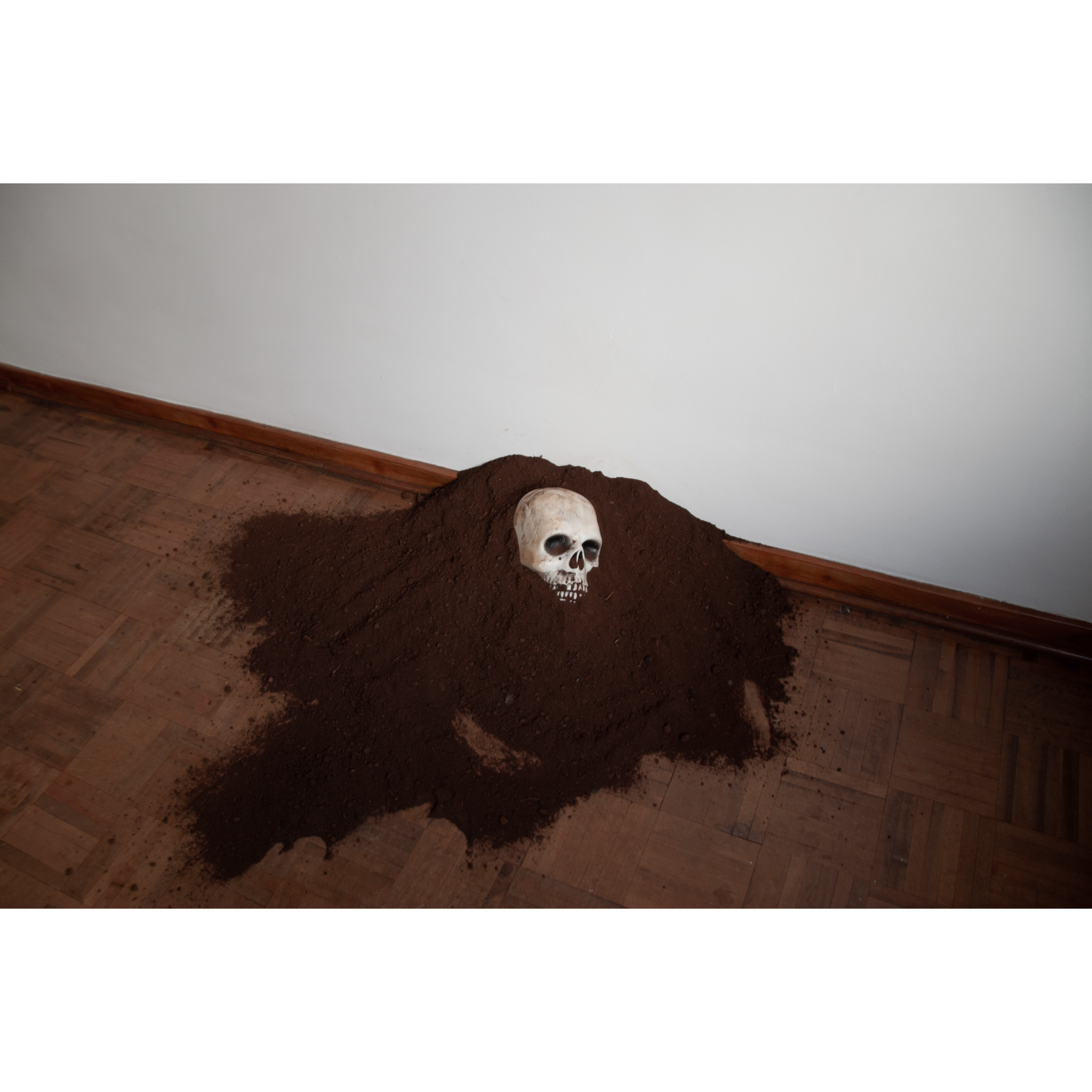 bPrancheta 7 cópia 2@2x.png