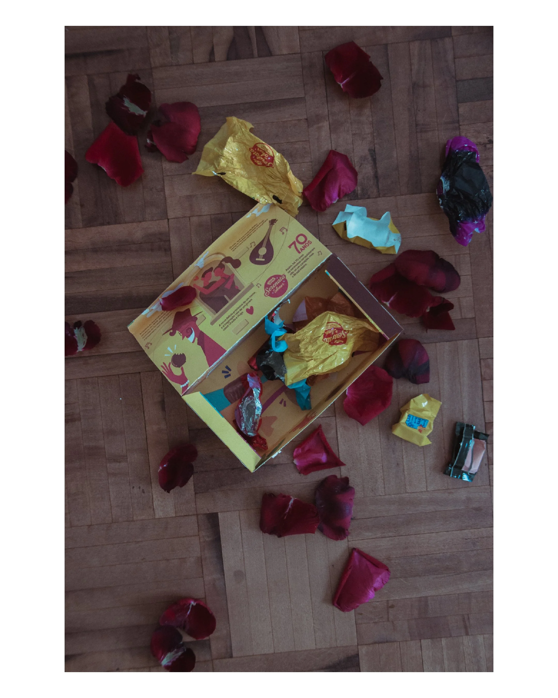 Prancheta 1 cópia 5@2x-100b.jpg