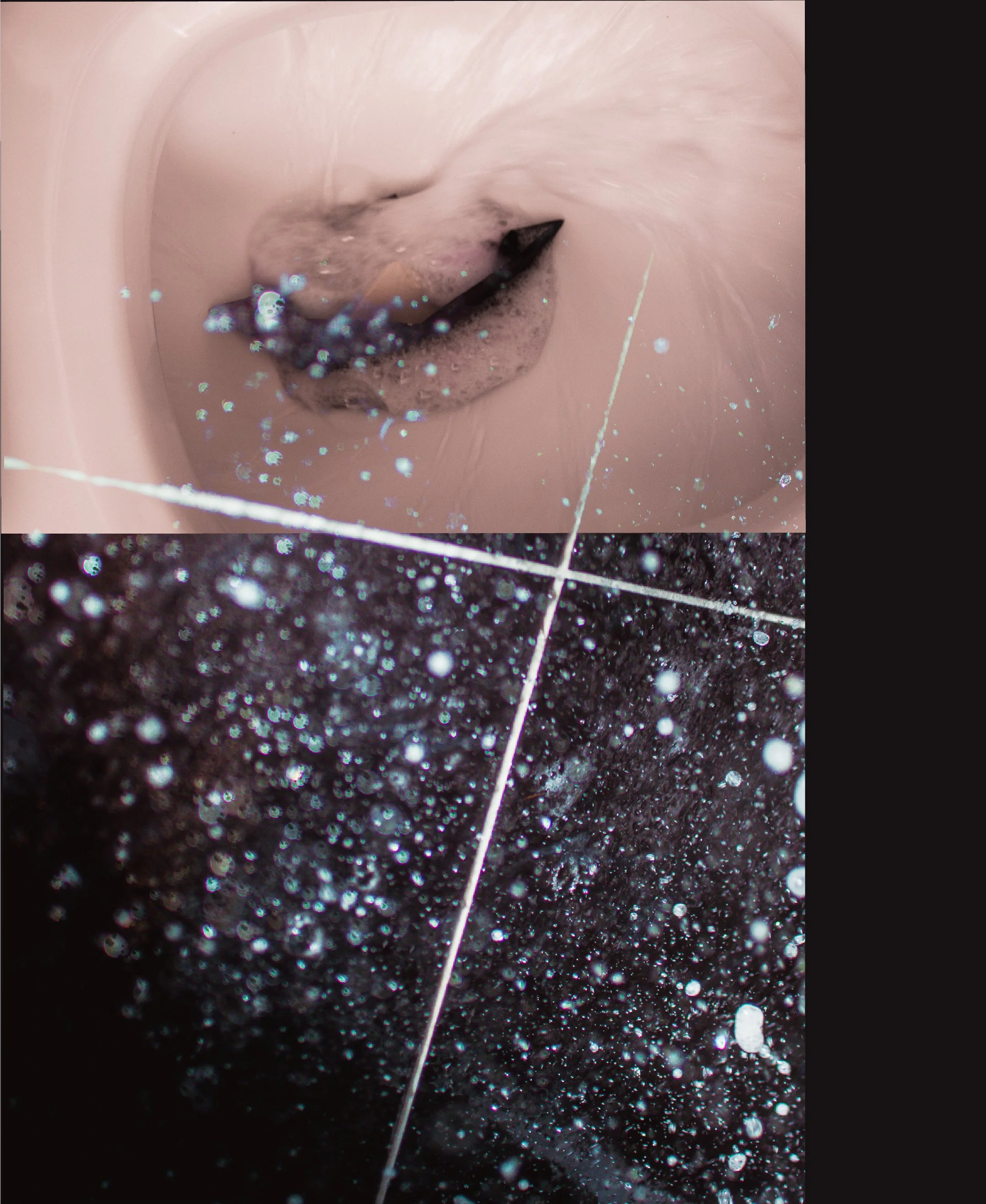 Artboard 1 cópia 12@2x.jpg