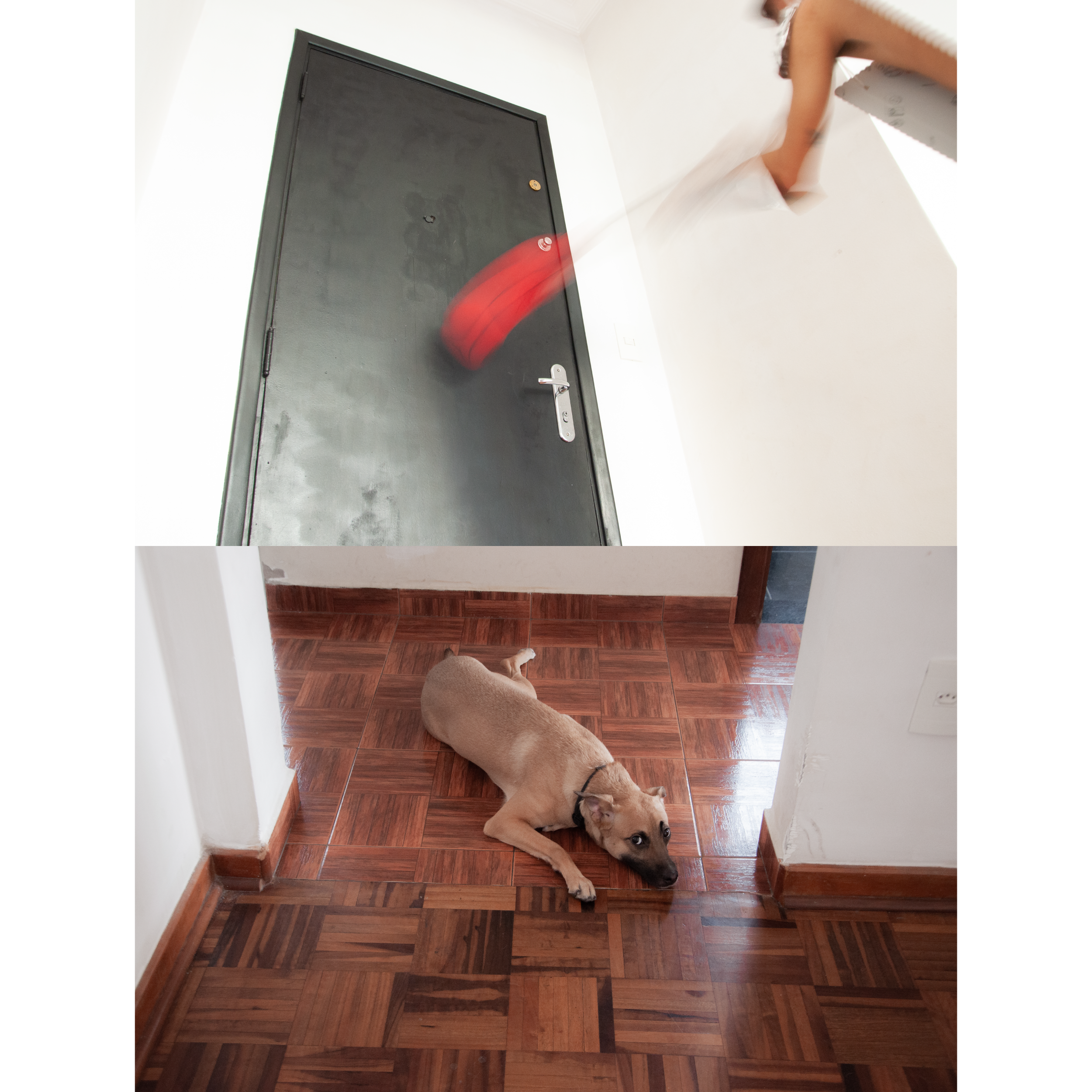 bPrancheta 7 cópia 6@2x.png