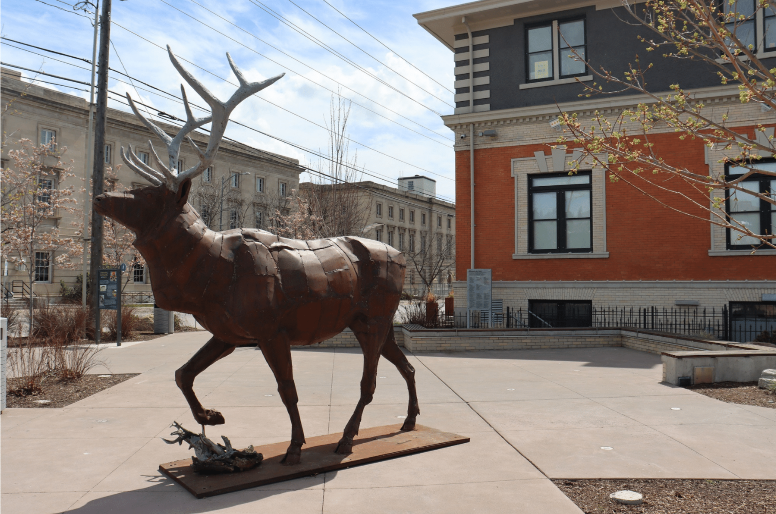 Contemporary Folk Animals