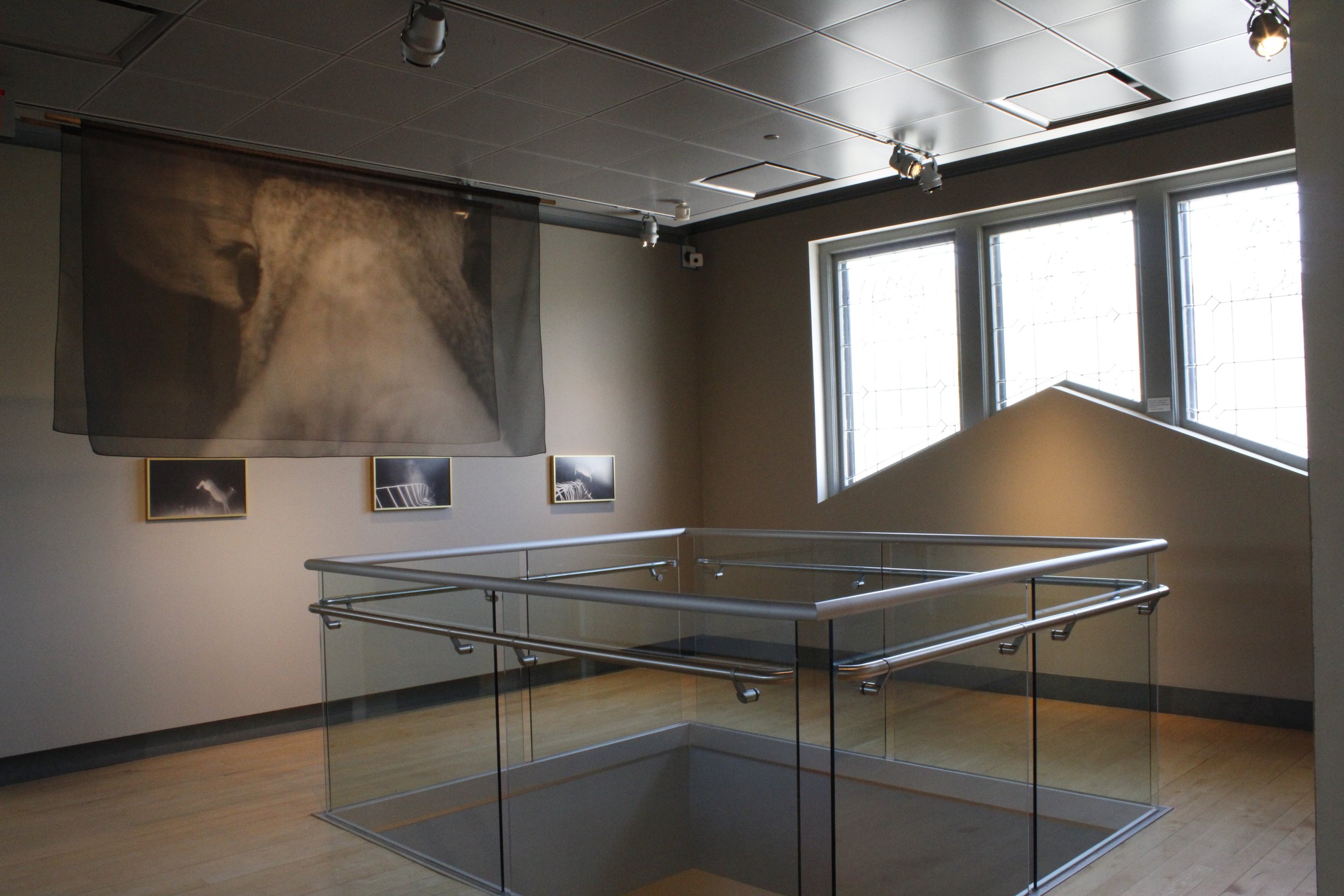 Lauren Grabelle: Deer Diary