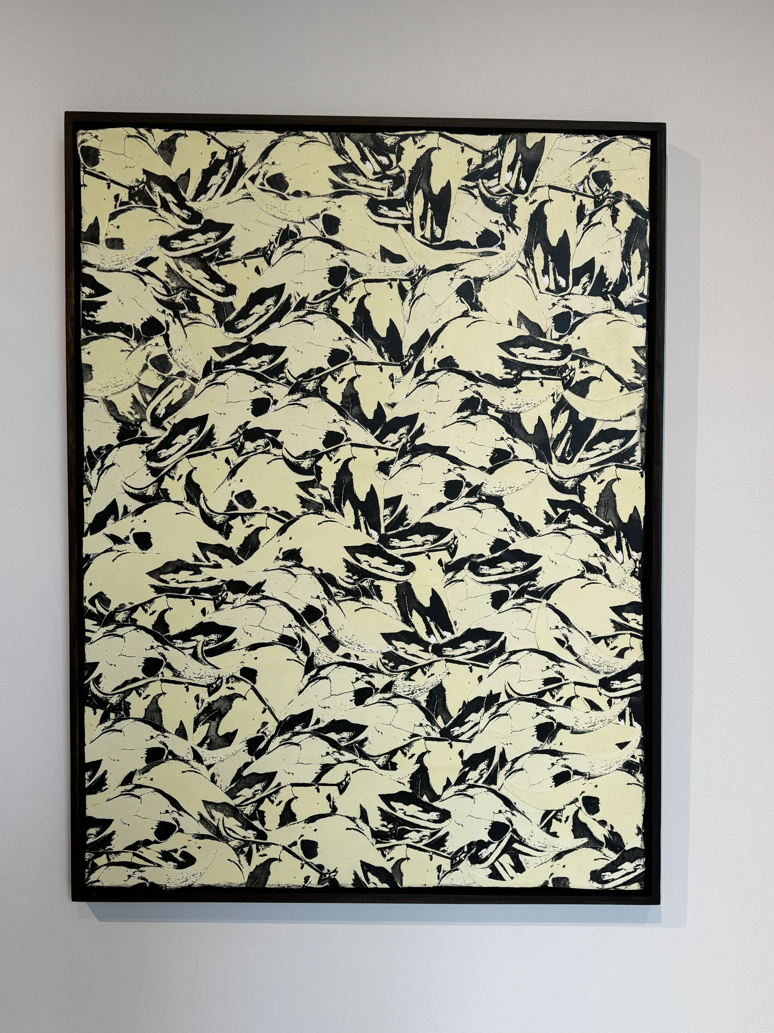 Aspen and Cameron Decker: Q̓ʷeyq̓ʷay 'Buffalo' is Our Good Medicine