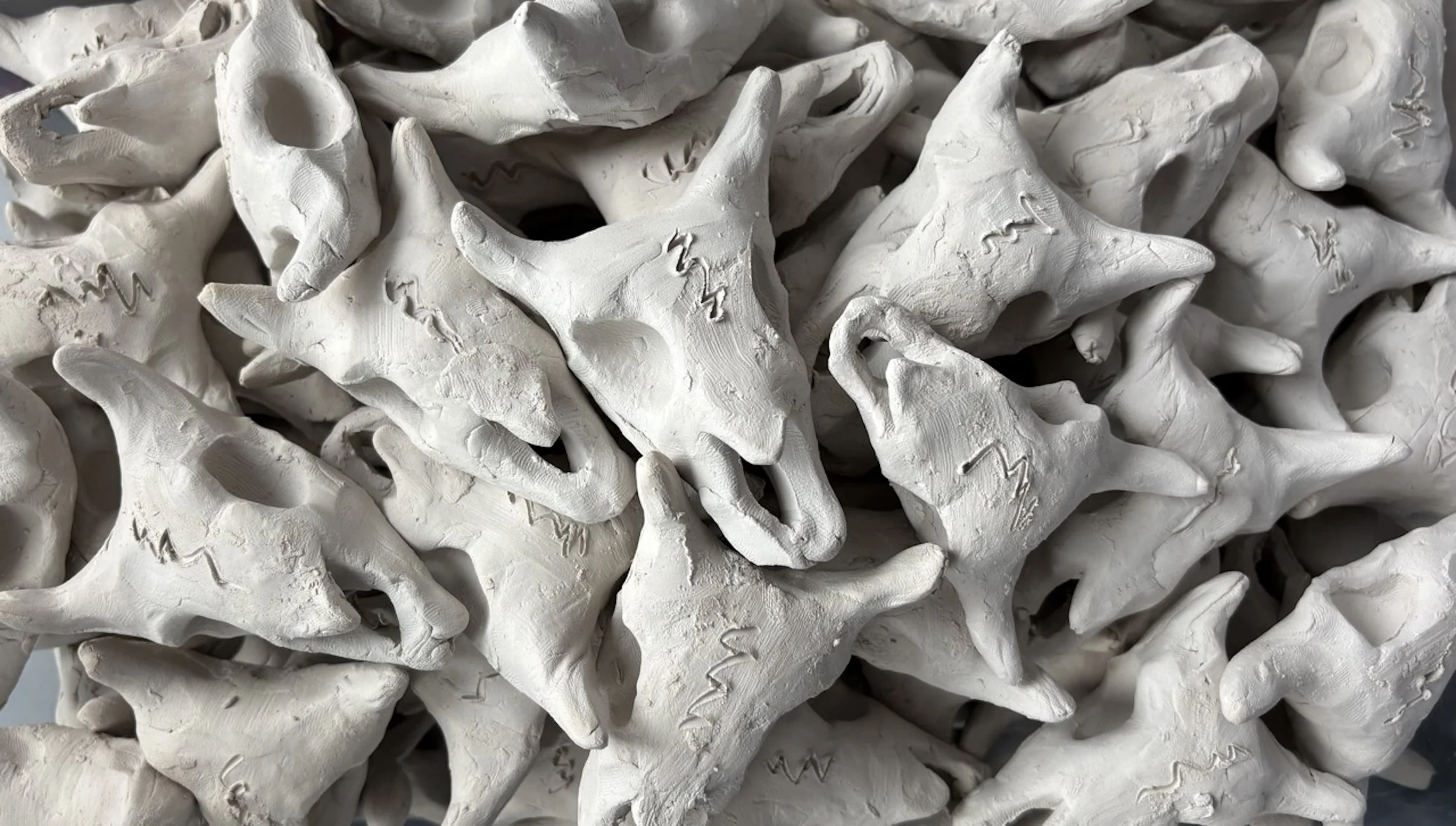 Aspen and Cameron Decker: Q̓ʷeyq̓ʷay 'Buffalo' is Our Good Medicine