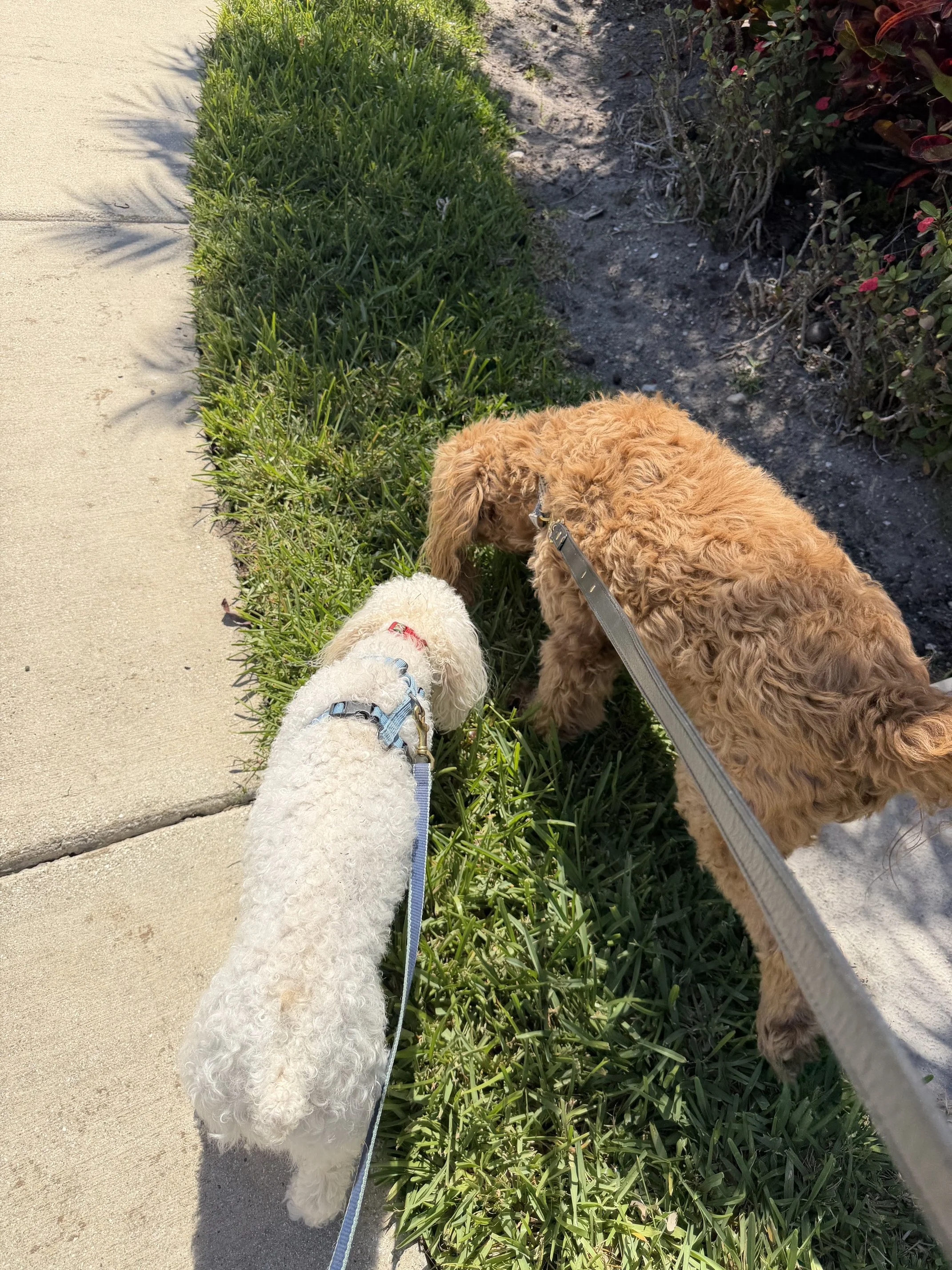 IMG_3028.jpeg