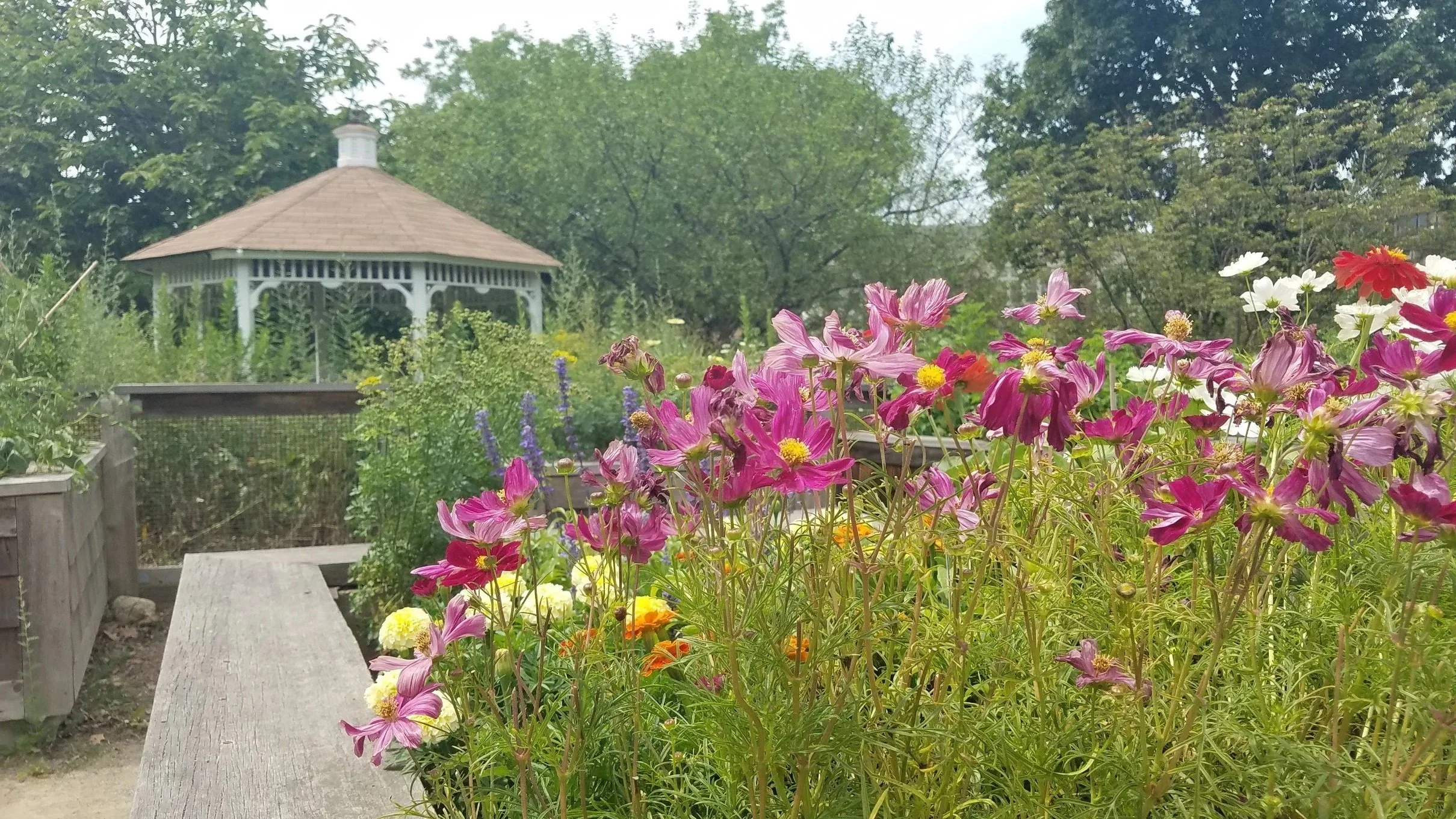 Colorful flowers in a garden with a wooden path leading to a white gazebo in the background, surrounded by lush green trees.