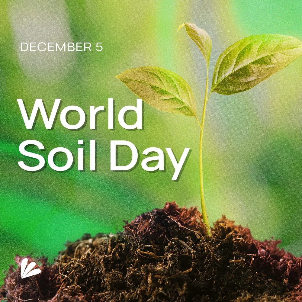 IG_Word Soil Day.jpg