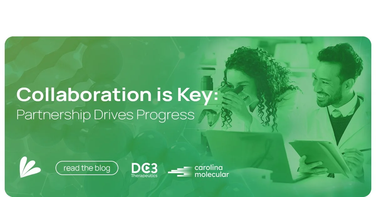 20250708 SAMM _ Summer Client Launches Blog Social Graphics - Social 04.jpg