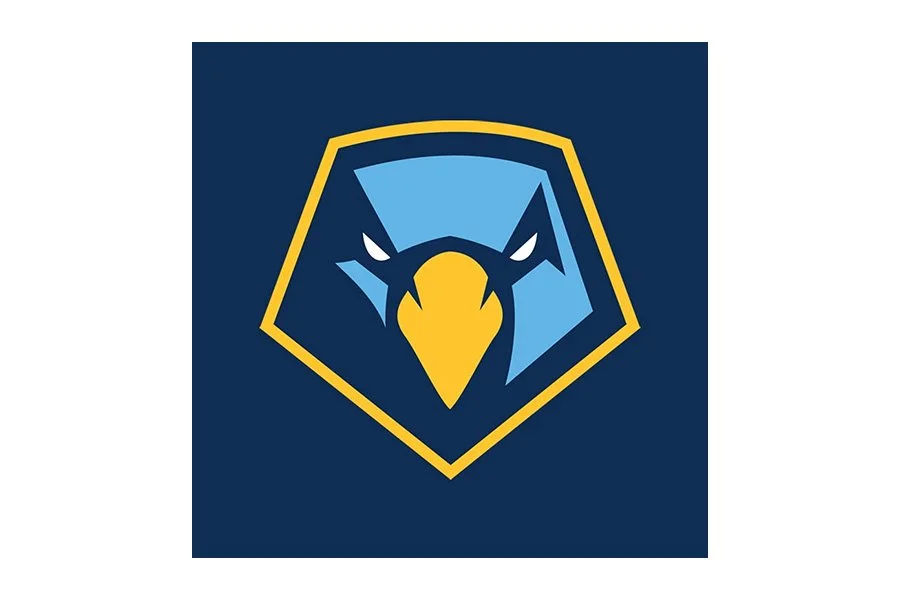 Stylized eagle head emblem with blue and yellow colors, outlined in yellow, on a dark blue background.