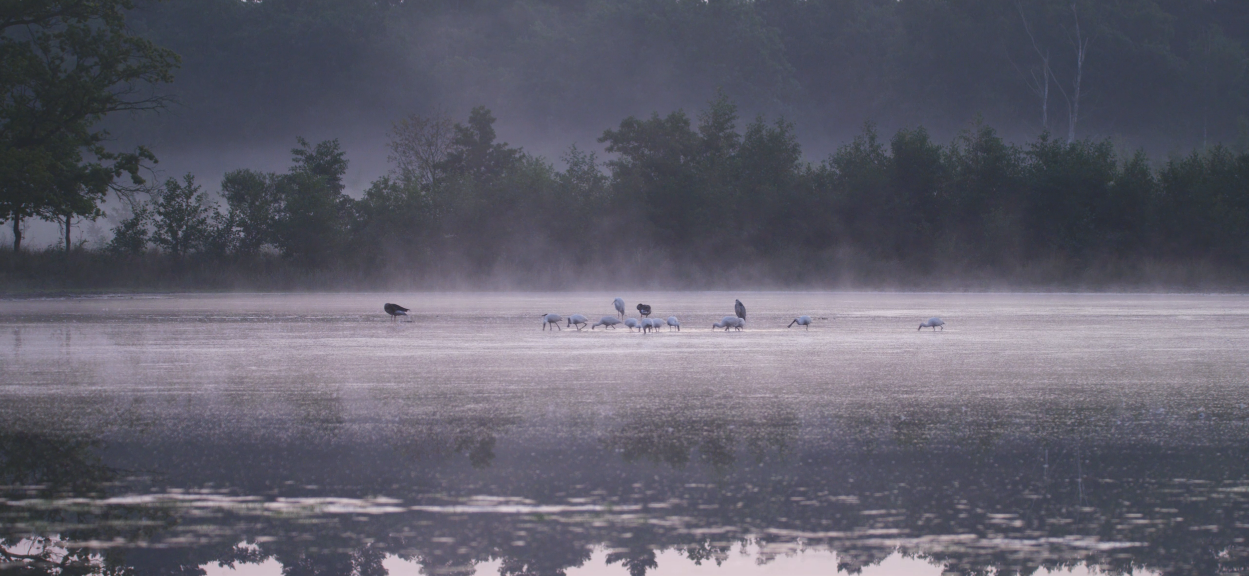 Schermopname (871).png