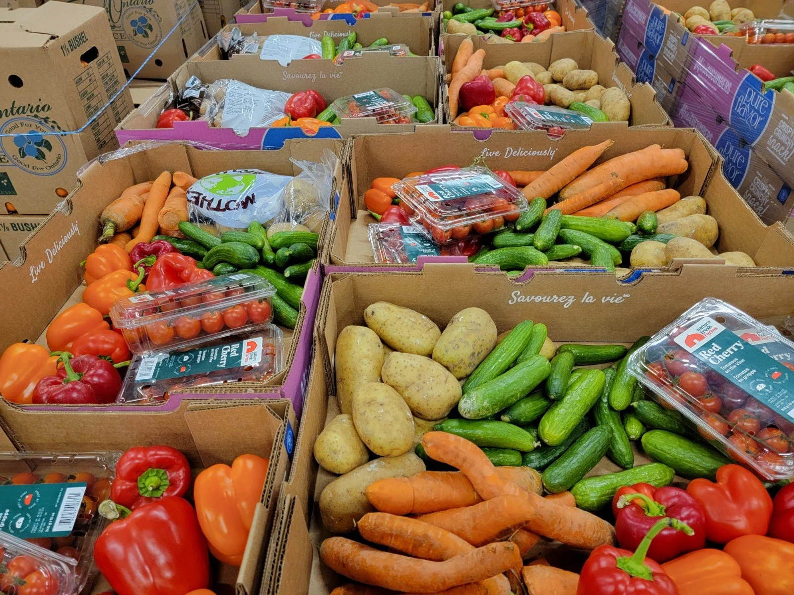 In Canada food rescue is a massive job. But it's not the way to end hunger