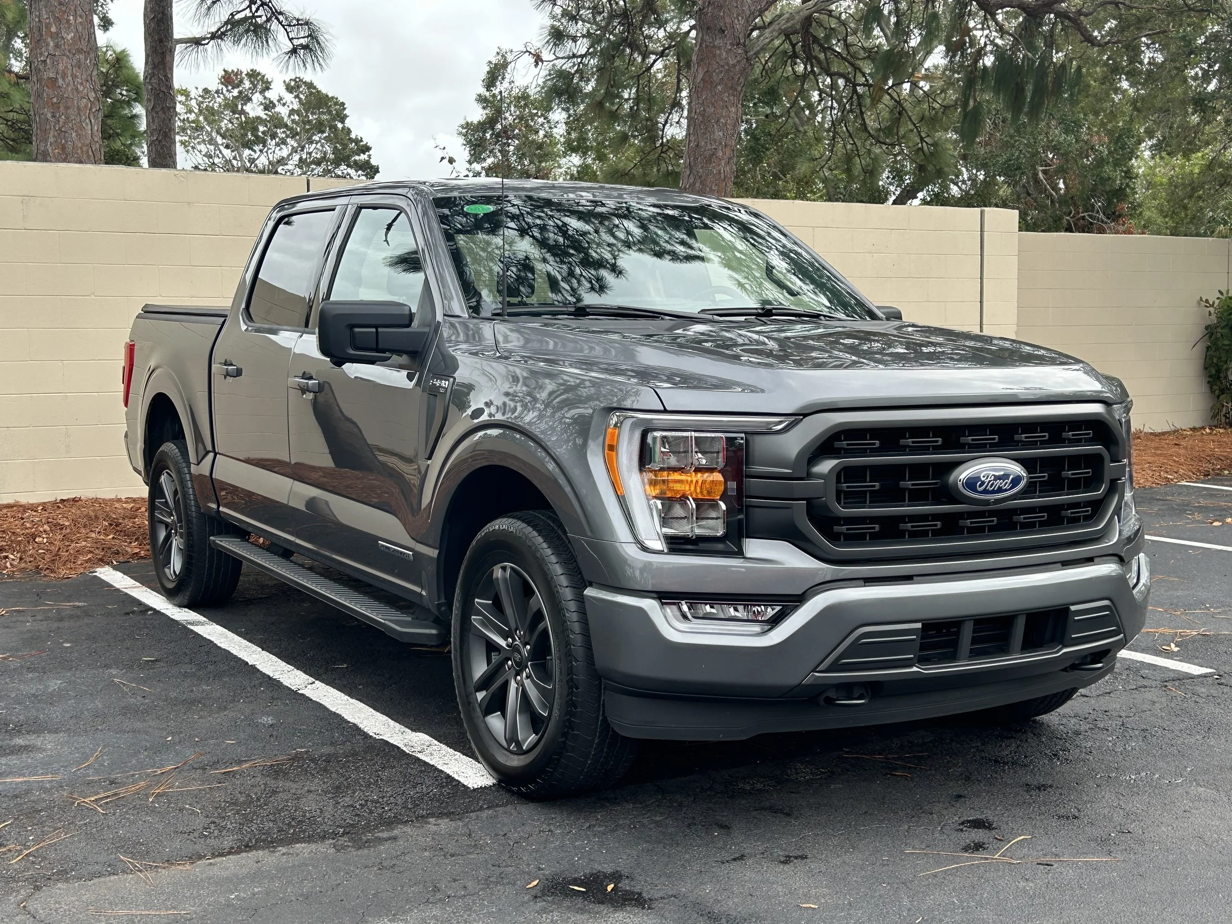 Gray Ford pickup truck parked in a parking lot with white painted lines, a beige concrete wall in the background, and trees overhead.