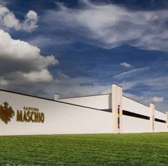 Exterior of a building with the sign 'GALLERY MOSHINO' on a white wall, green grass in front, under a blue sky with clouds.