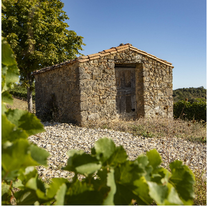 An old stone building with a metal door, surrounded by greenery and a clear blue sky.